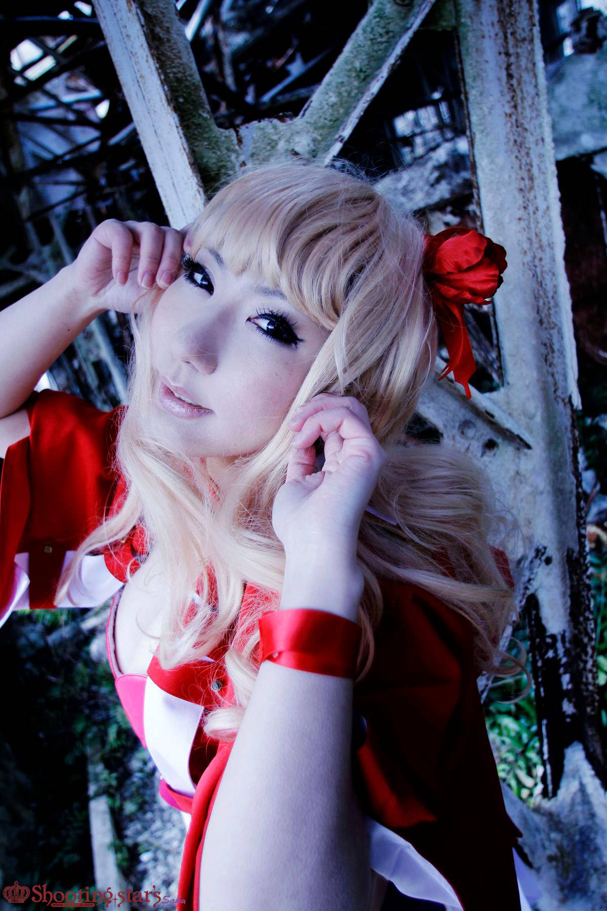 [Chụp Star's] Thỏ sâu thẳm