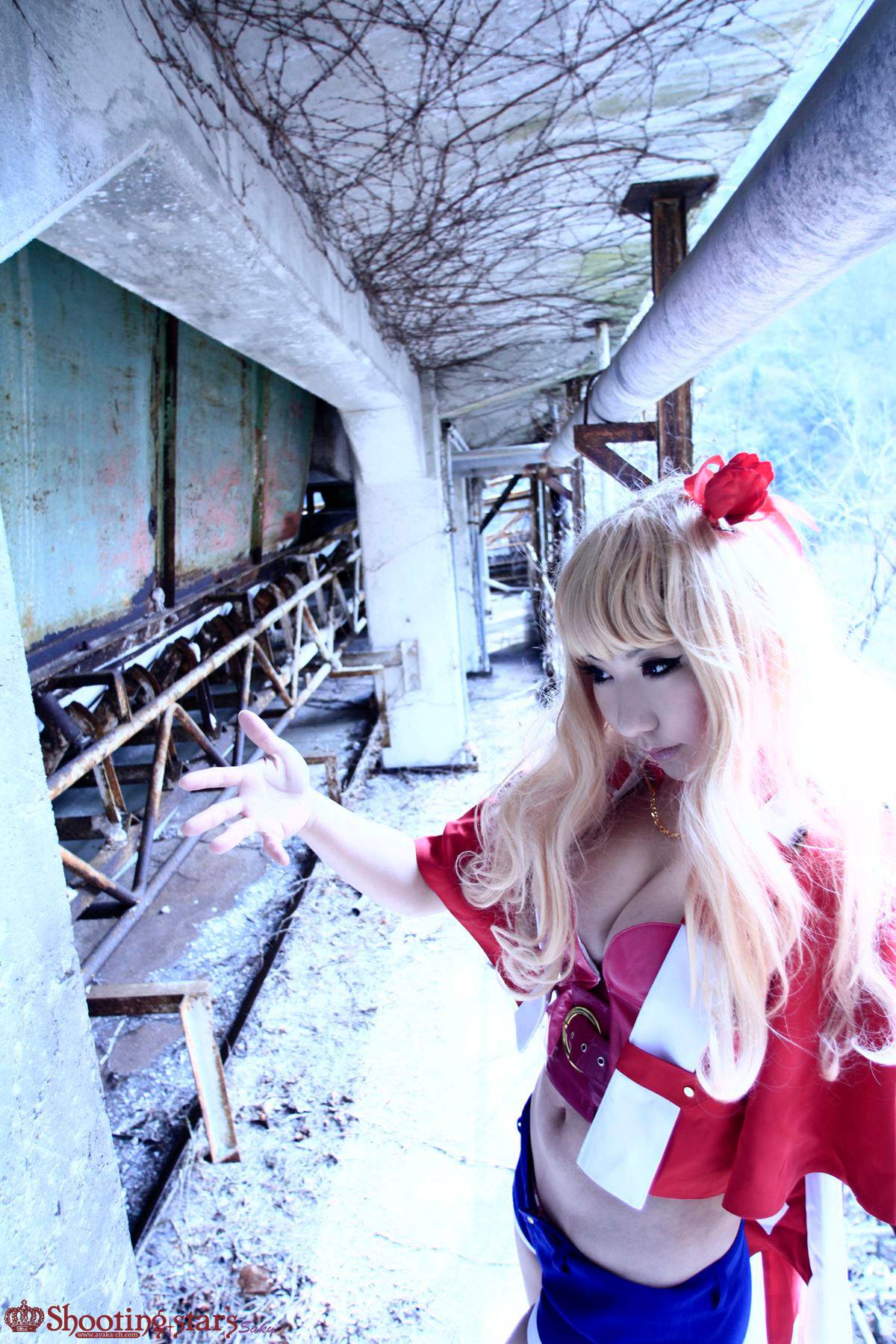 [Chụp Star's] Thỏ sâu thẳm