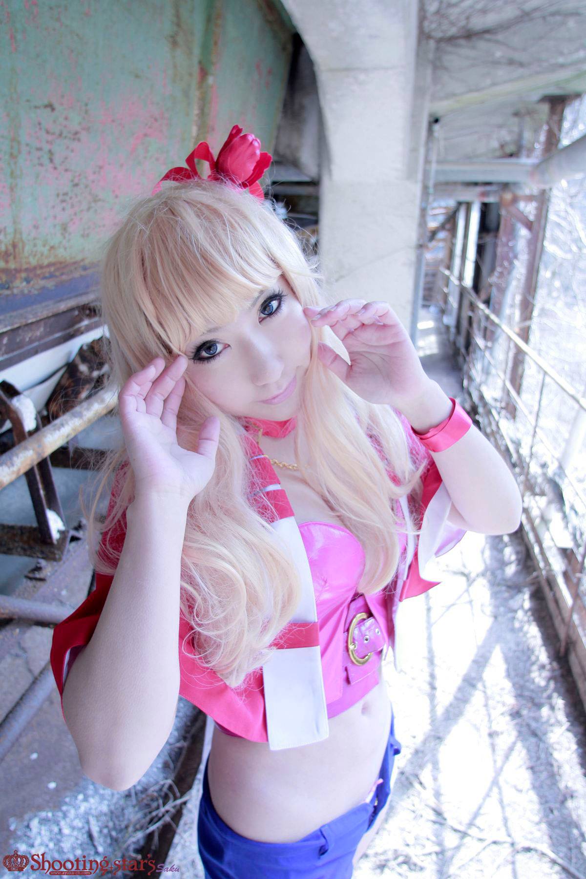 [Chụp Star's] Thỏ sâu thẳm