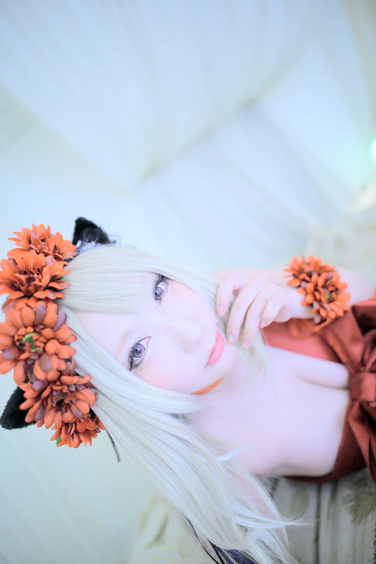 [Bắn sao của ngôi sao] sơn Ribon