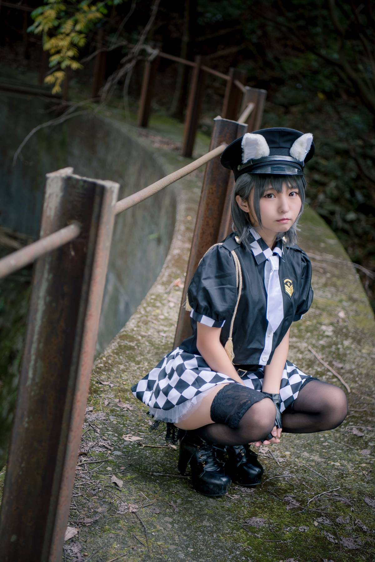 [Đậu phụ Annyui] Động vật (Cảnh sát mèo)