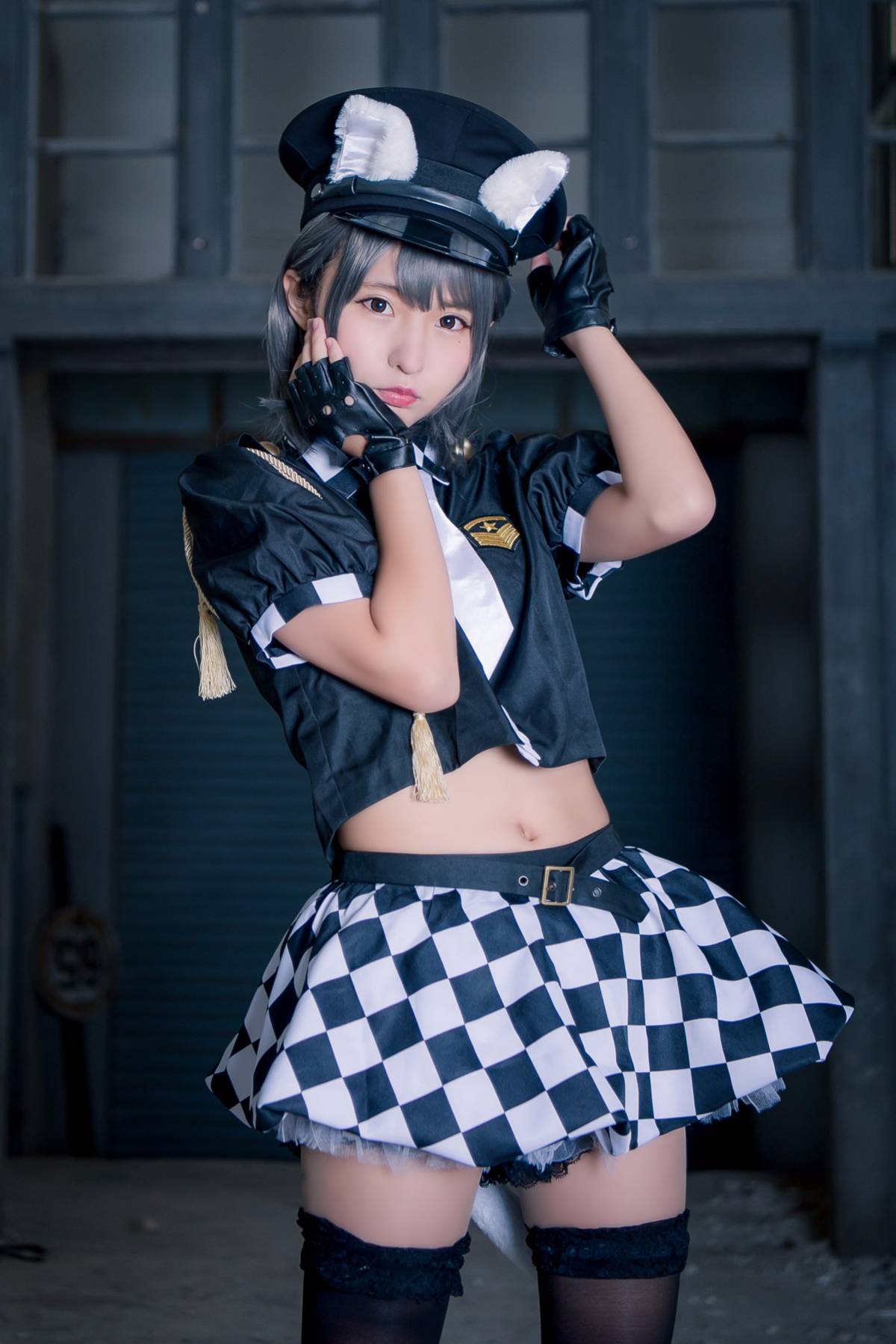 [Đậu phụ Annyui] Động vật (Cảnh sát mèo)