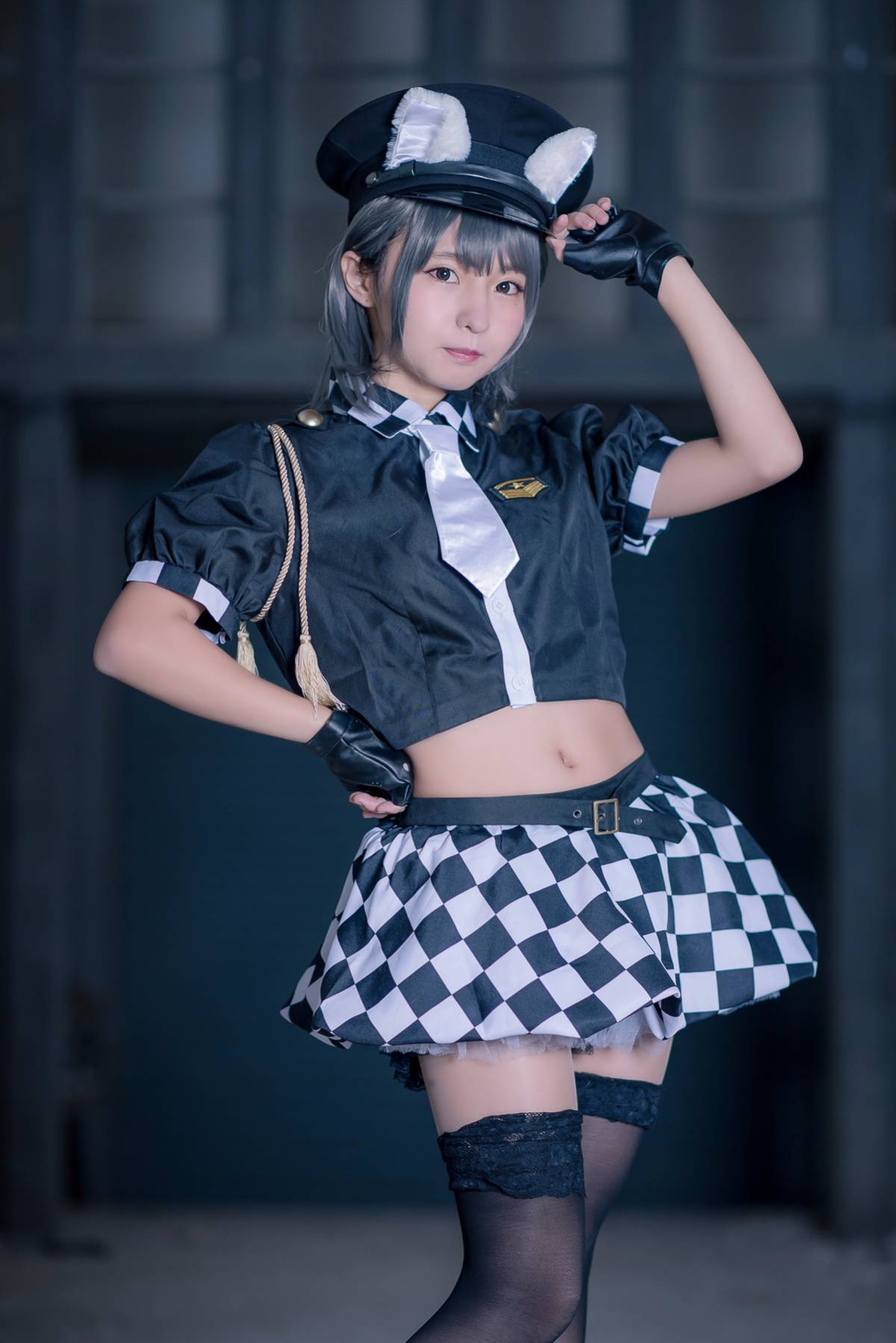 [Đậu phụ Annyui] Động vật (Cảnh sát mèo)