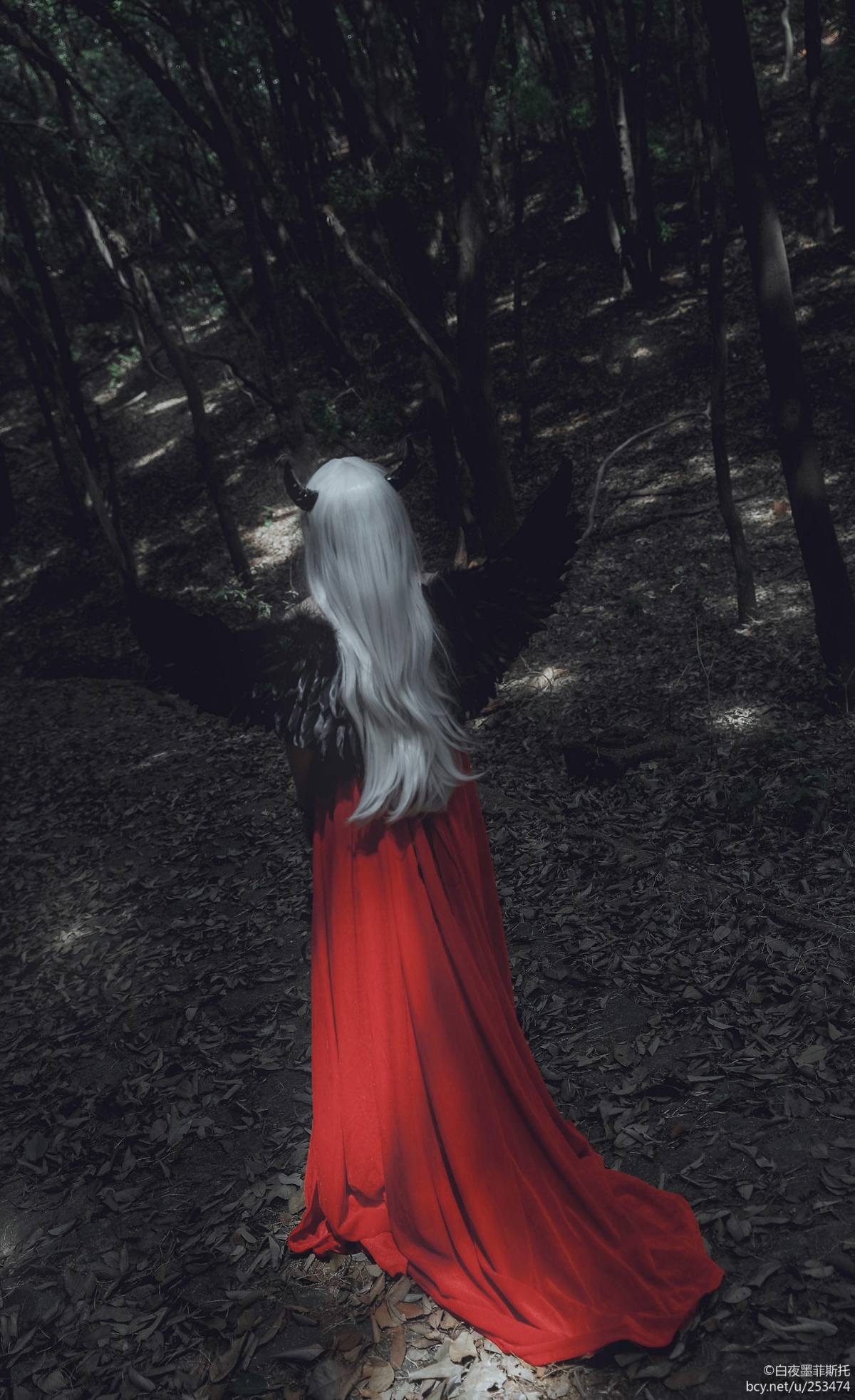 "Fatezero" Alice Phil trên The Journey Fan c o s p l a y