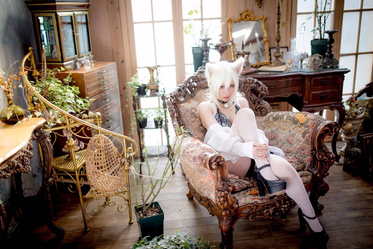 [Paw Pad Ayato, Nagisa MK-2, Usagi, Senji] Klartheit (khác nhau)