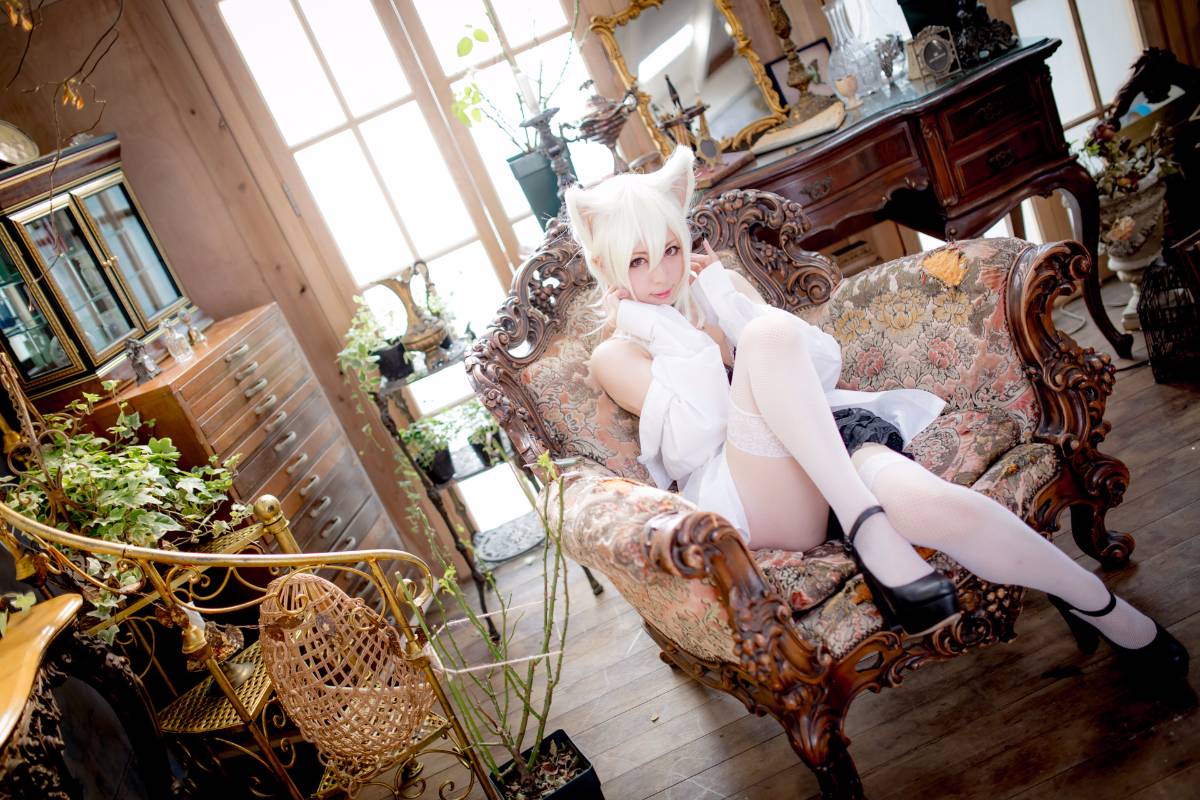 [Paw Pad Ayato, Nagisa MK-2, Usagi, Senji] Klartheit (khác nhau)