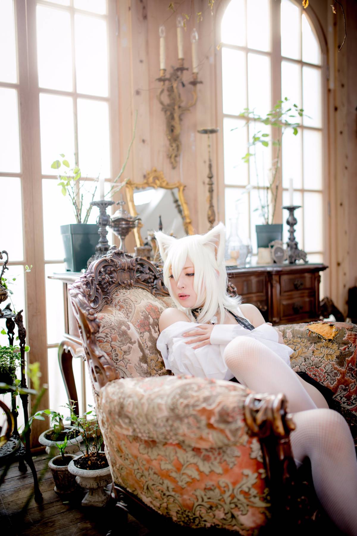 [Paw Pad Ayato, Nagisa MK-2, Usagi, Senji] Klartheit (khác nhau)