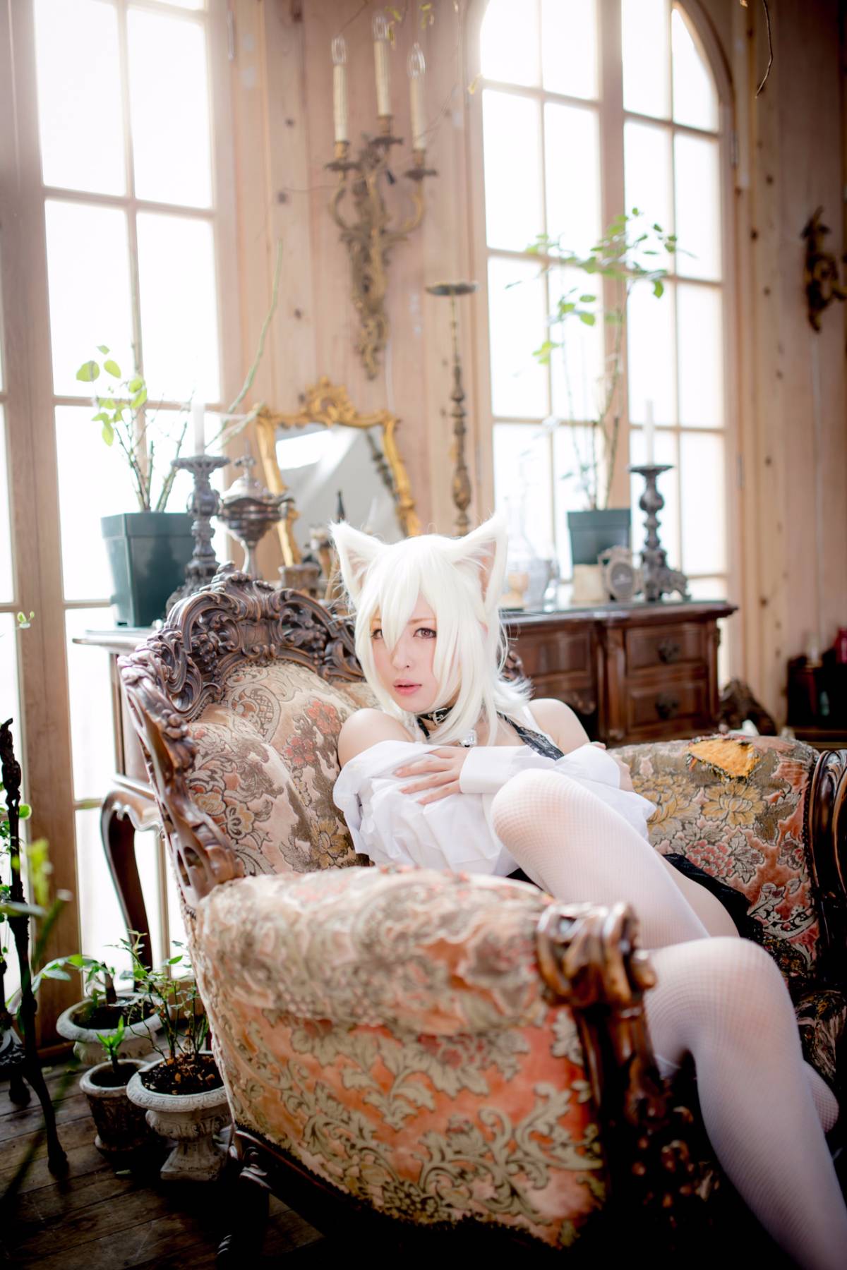 [Paw Pad Ayato, Nagisa MK-2, Usagi, Senji] Klartheit (khác nhau)