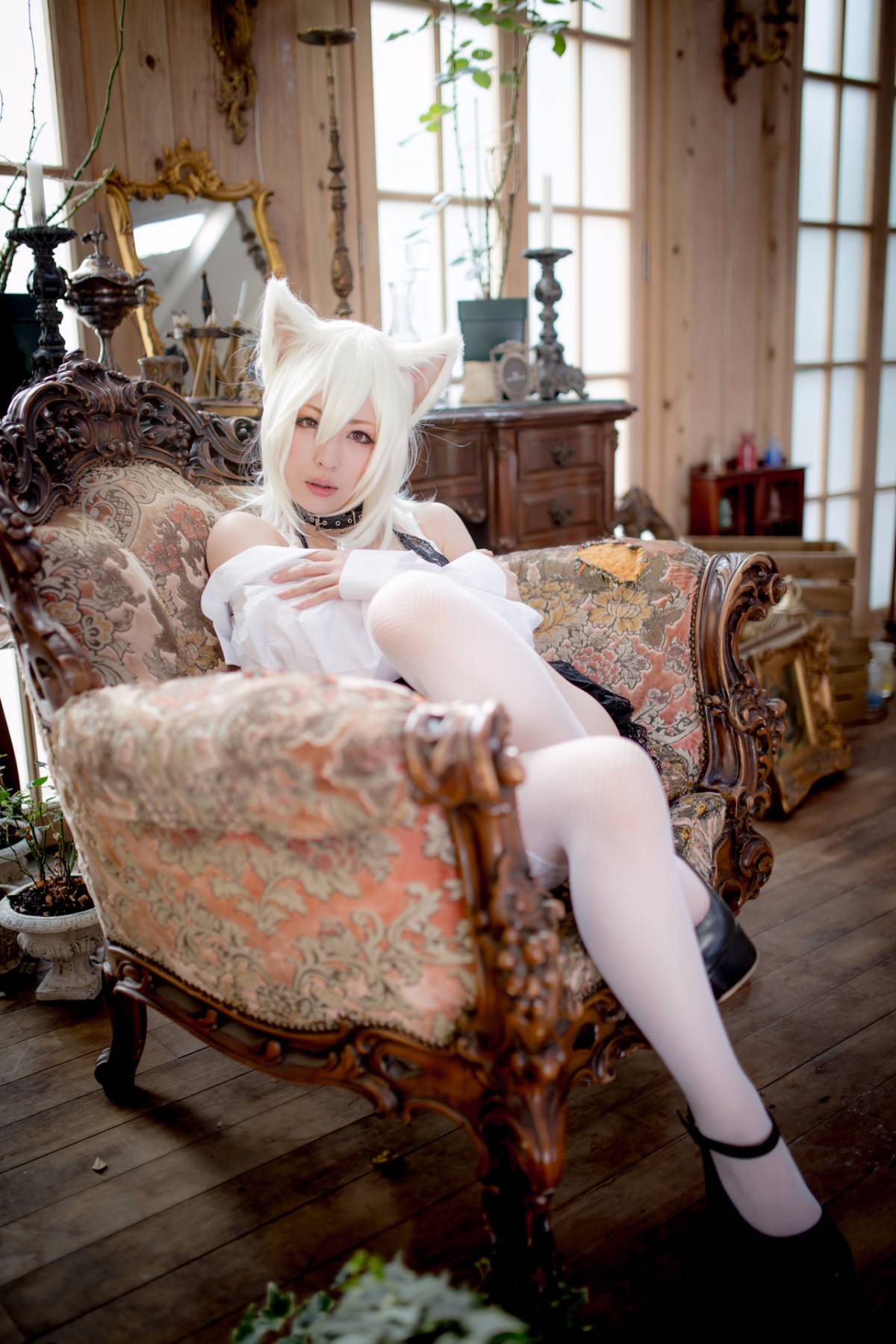 [Paw Pad Ayato, Nagisa MK-2, Usagi, Senji] Klartheit (khác nhau)