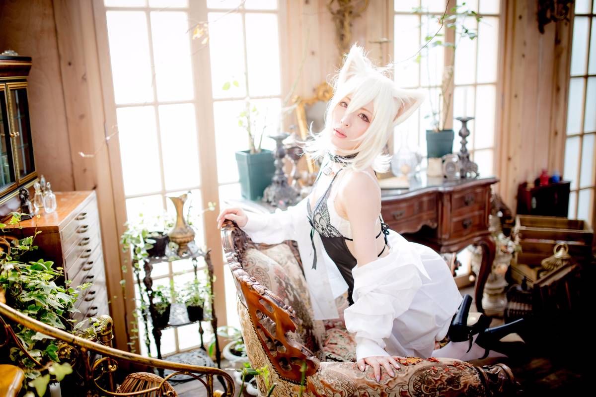 [Paw Pad Ayato, Nagisa MK-2, Usagi, Senji] Klartheit (khác nhau)