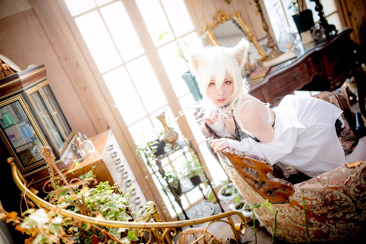 [Paw Pad Ayato, Nagisa MK-2, Usagi, Senji] Klartheit (khác nhau)