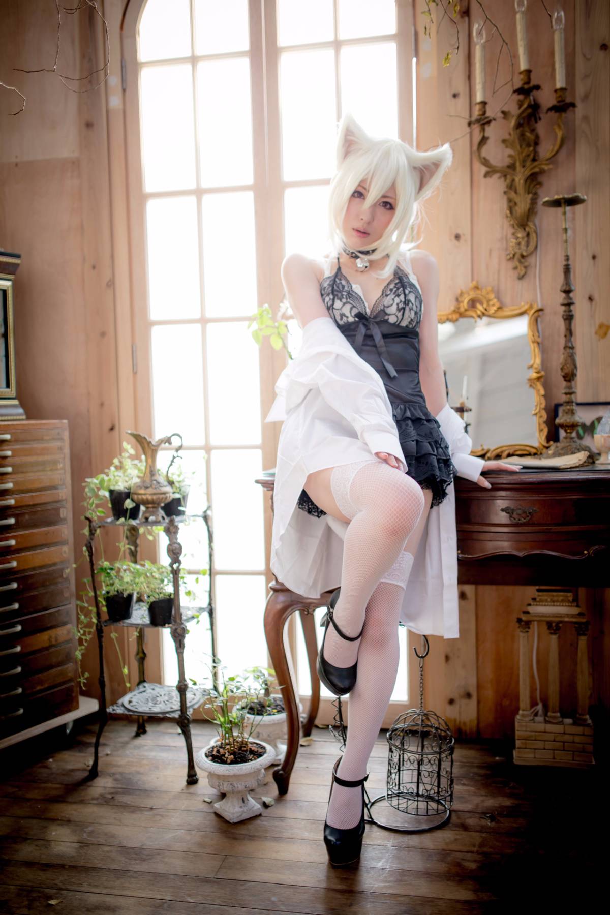 [Paw Pad Ayato, Nagisa MK-2, Usagi, Senji] Klartheit (khác nhau)