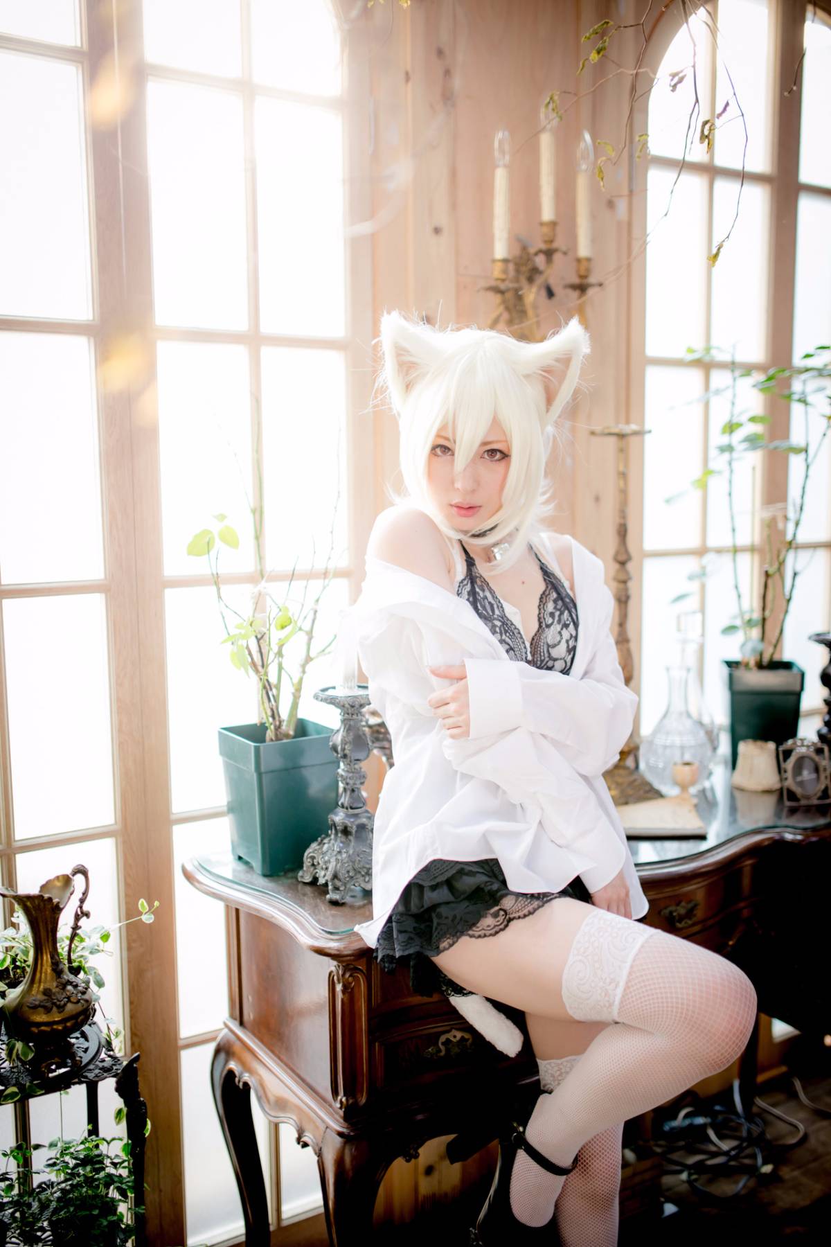 [Paw Pad Ayato, Nagisa MK-2, Usagi, Senji] Klartheit (khác nhau)