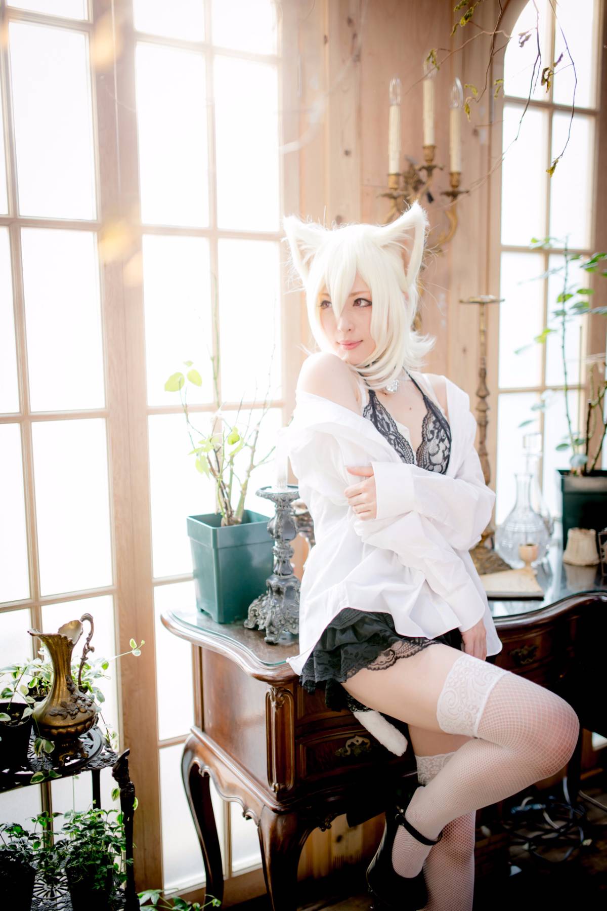 [Paw Pad Ayato, Nagisa MK-2, Usagi, Senji] Klartheit (khác nhau)