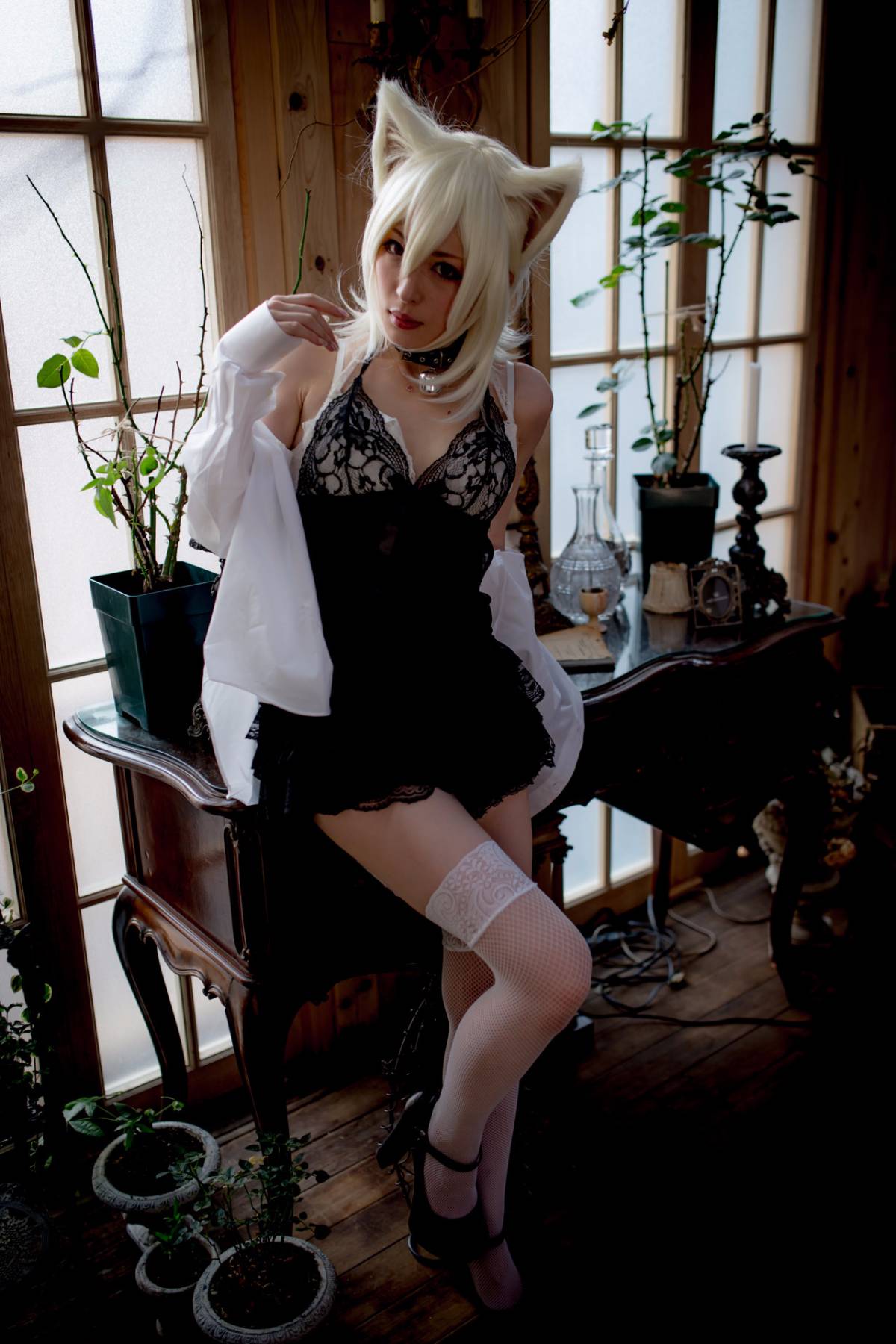 [Paw Pad Ayato, Nagisa MK-2, Usagi, Senji] Klartheit (khác nhau)