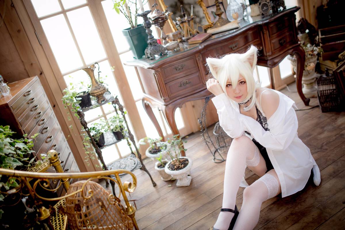 [Paw Pad Ayato, Nagisa MK-2, Usagi, Senji] Klartheit (khác nhau)