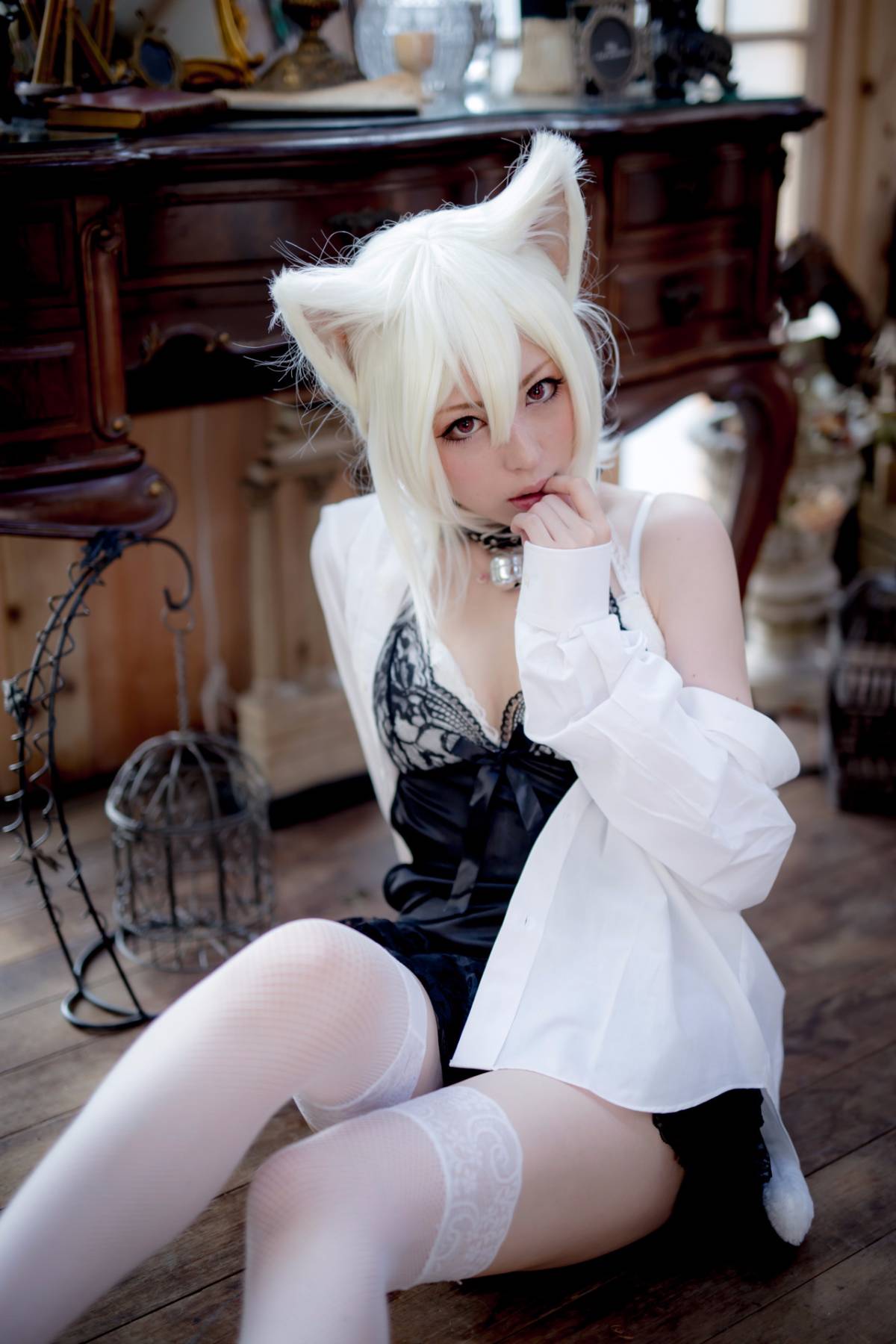 [Paw Pad Ayato, Nagisa MK-2, Usagi, Senji] Klartheit (khác nhau)