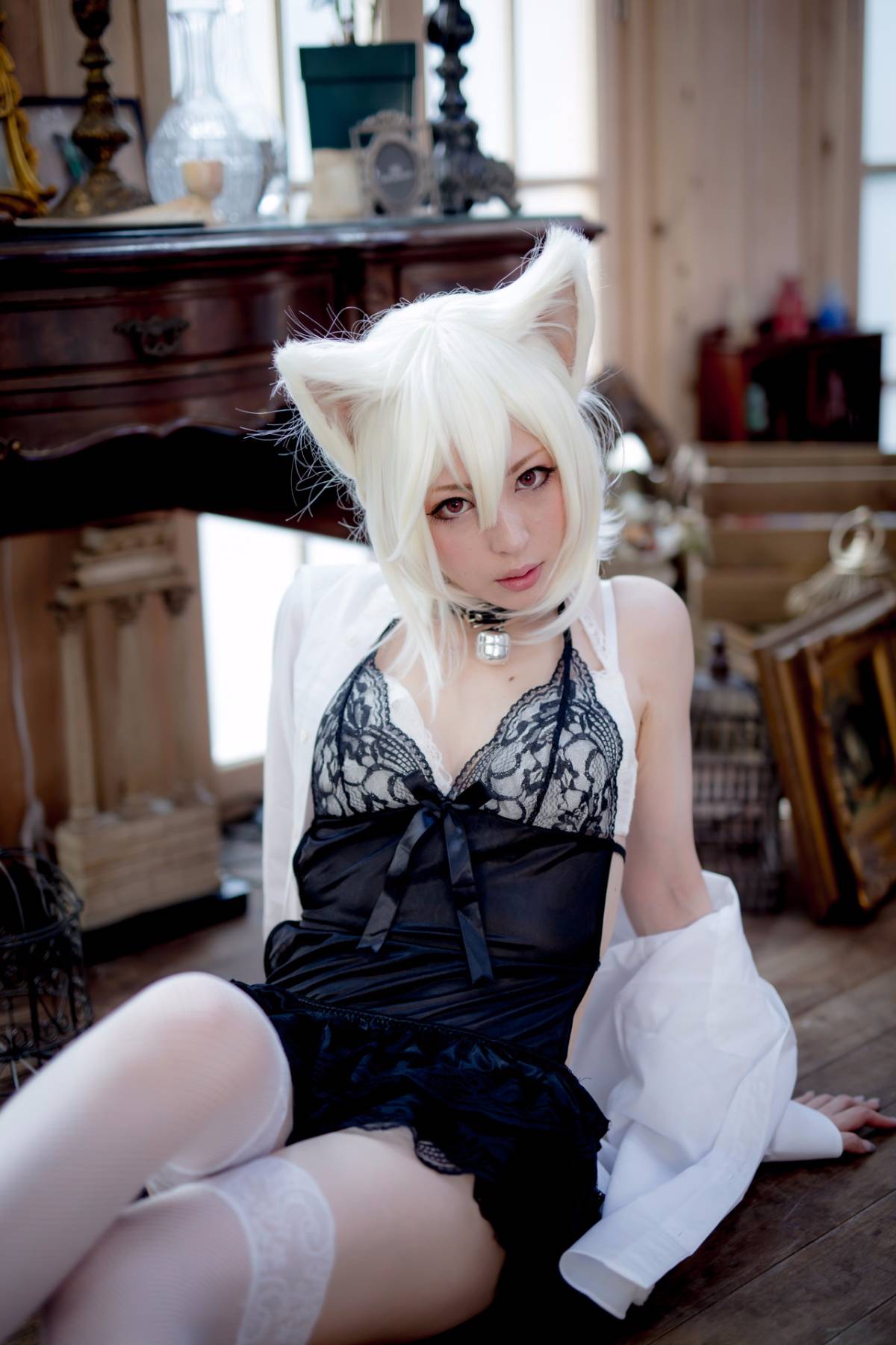 [Paw Pad Ayato, Nagisa MK-2, Usagi, Senji] Klartheit (khác nhau)