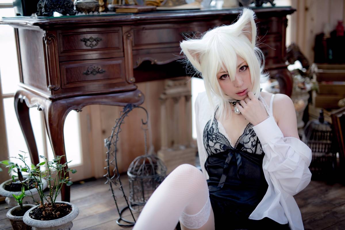 [Paw Pad Ayato, Nagisa MK-2, Usagi, Senji] Klartheit (khác nhau)