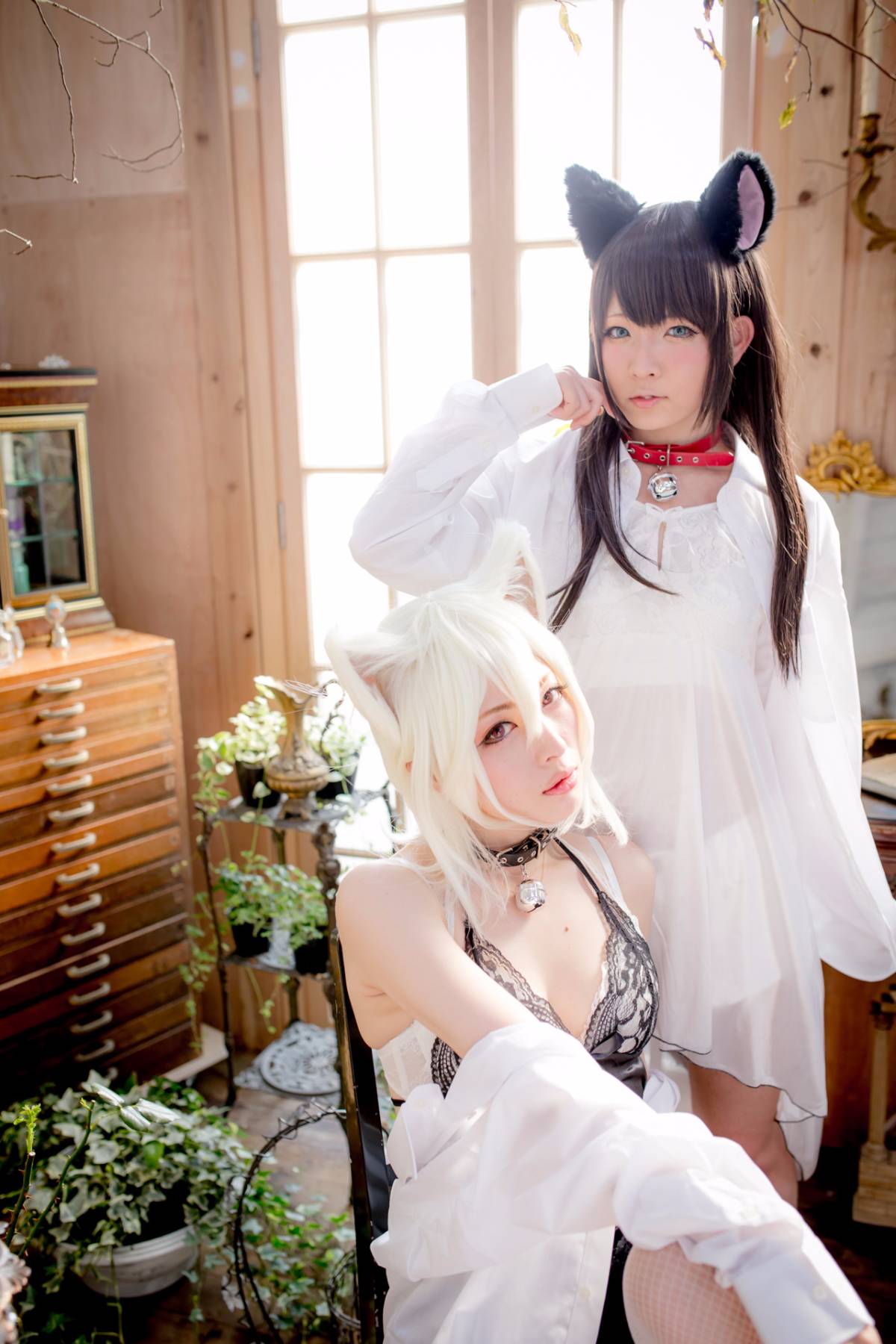 [Paw Pad Ayato, Nagisa MK-2, Usagi, Senji] Klartheit (khác nhau)