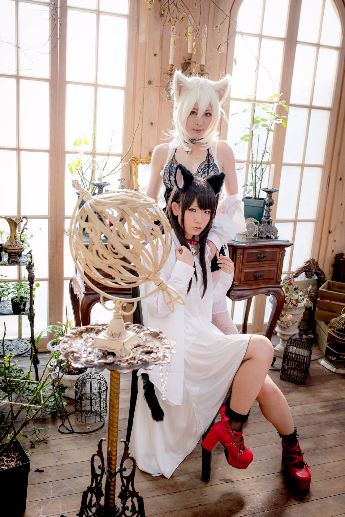 [Paw Pad Ayato, Nagisa MK-2, Usagi, Senji] Klartheit (khác nhau)