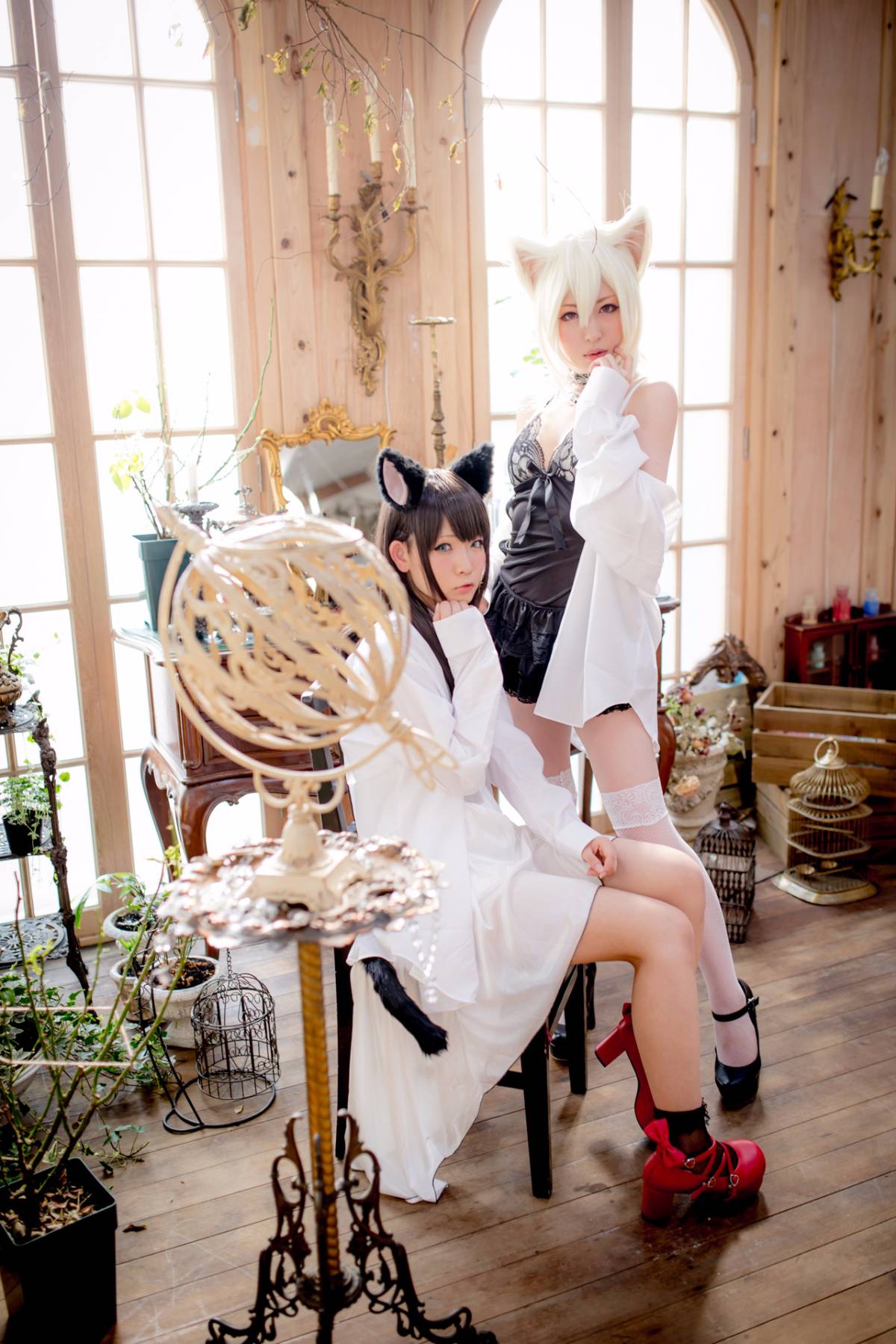 [Paw Pad Ayato, Nagisa MK-2, Usagi, Senji] Klartheit (khác nhau)