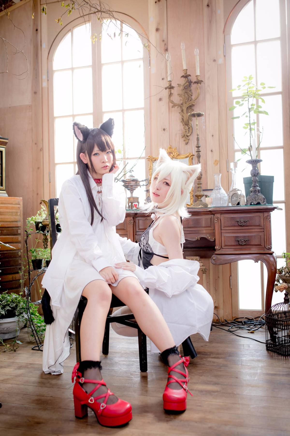 [Paw Pad Ayato, Nagisa MK-2, Usagi, Senji] Klartheit (khác nhau)