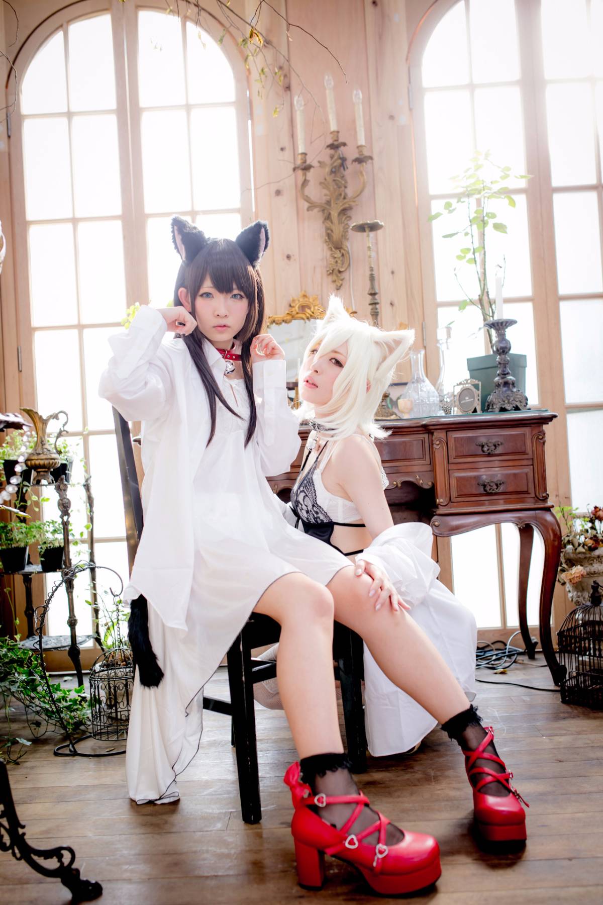 [Paw Pad Ayato, Nagisa MK-2, Usagi, Senji] Klartheit (khác nhau)