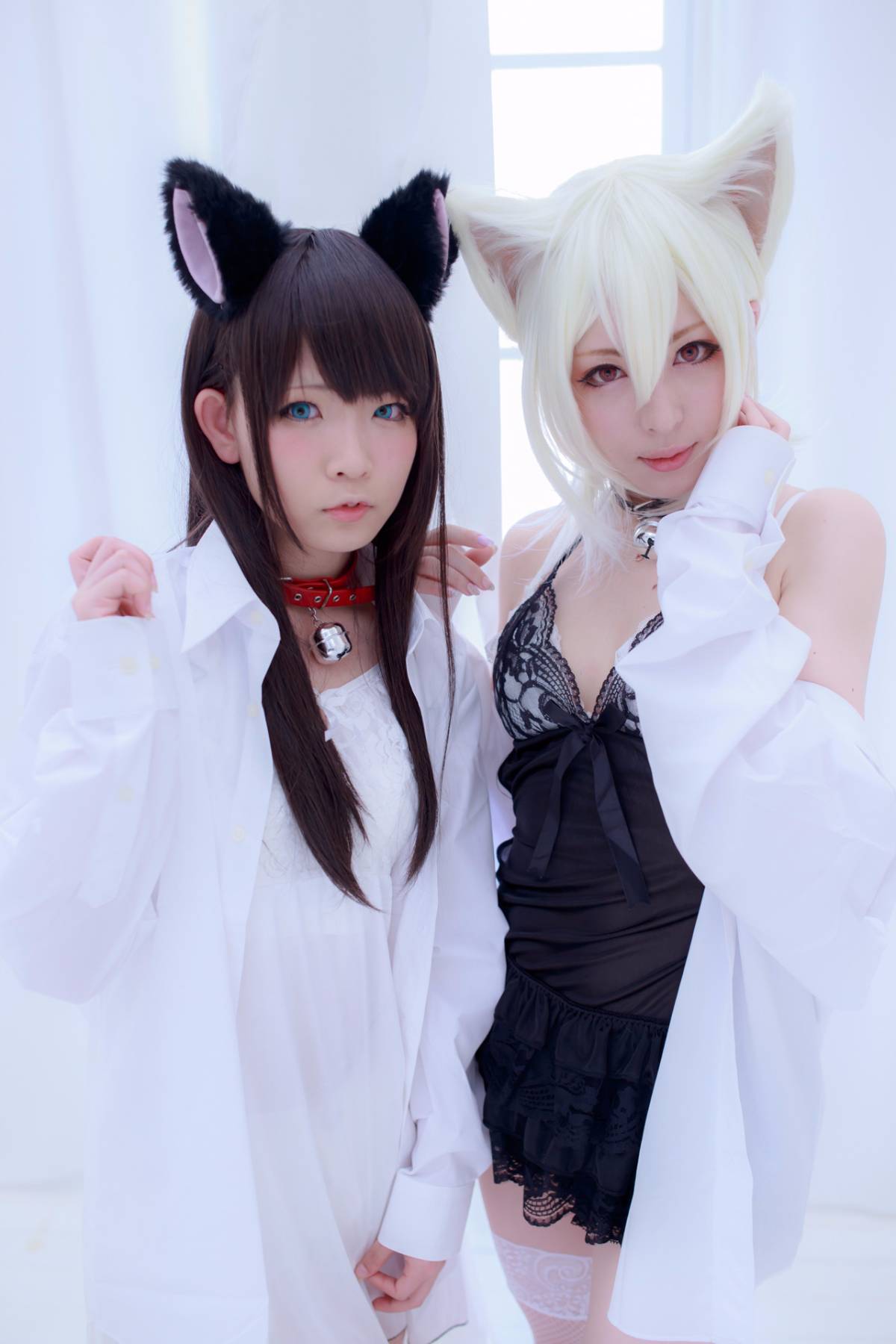 [Paw Pad Ayato, Nagisa MK-2, Usagi, Senji] Klartheit (khác nhau)