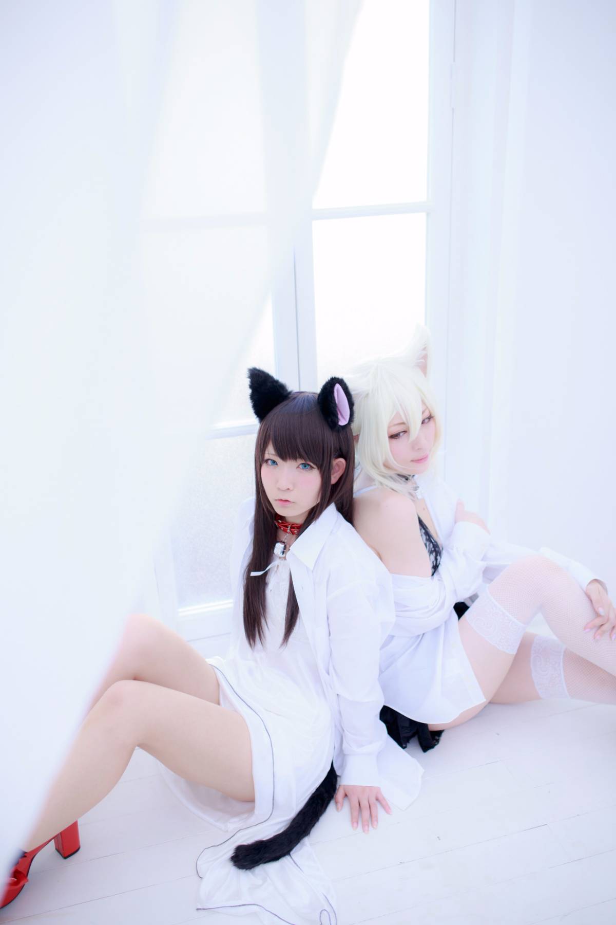 [Paw Pad Ayato, Nagisa MK-2, Usagi, Senji] Klartheit (khác nhau)