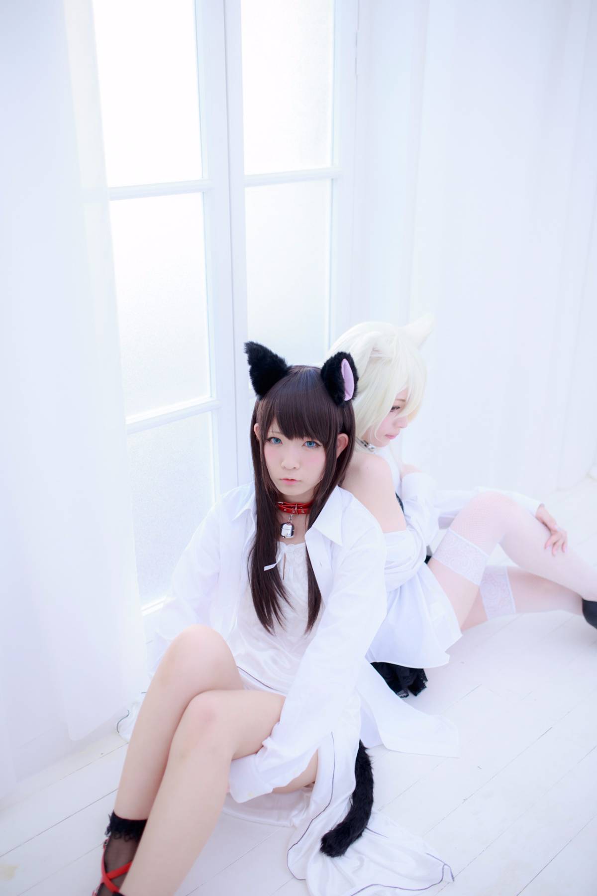 [Paw Pad Ayato, Nagisa MK-2, Usagi, Senji] Klartheit (khác nhau)