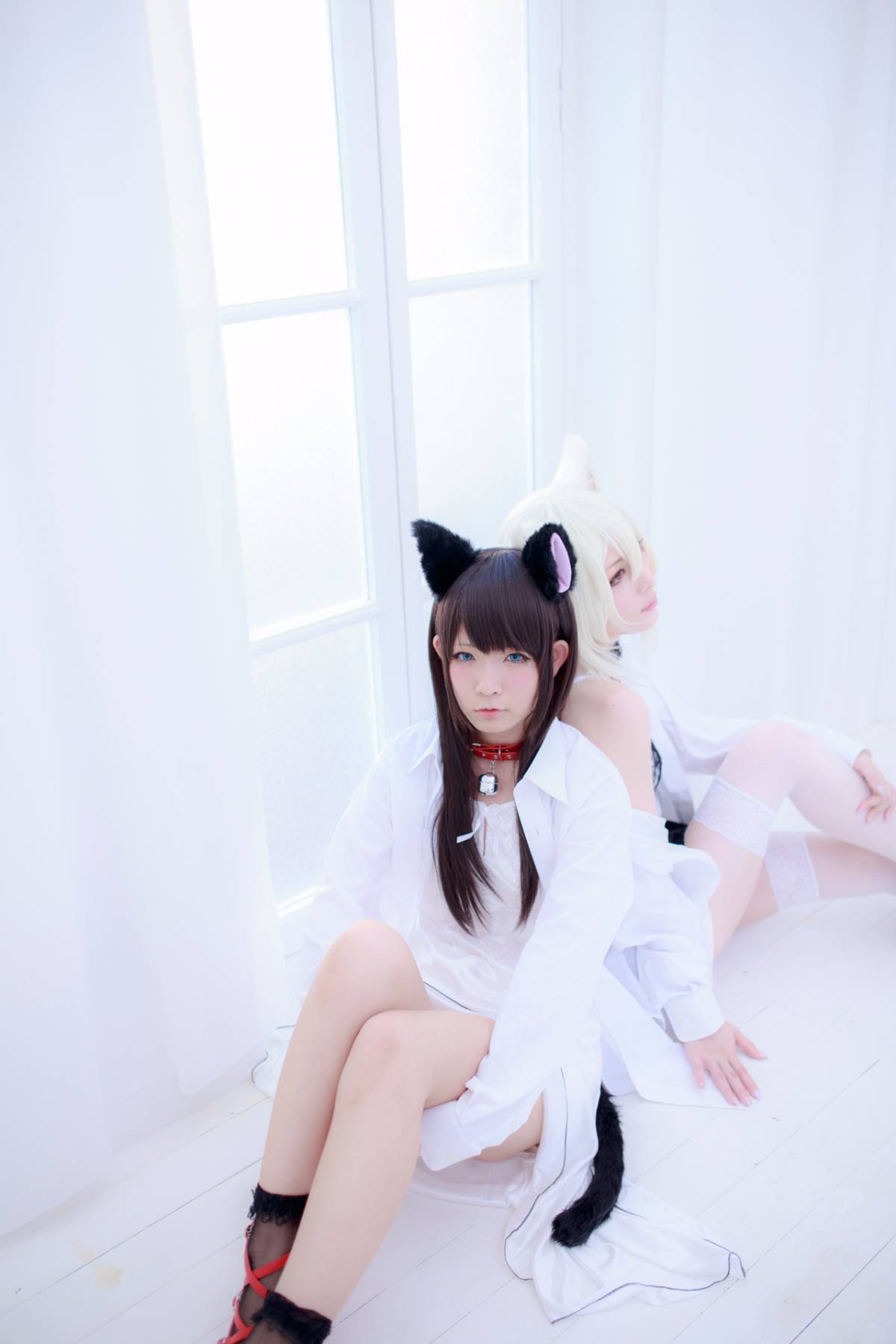 [Paw Pad Ayato, Nagisa MK-2, Usagi, Senji] Klartheit (khác nhau)