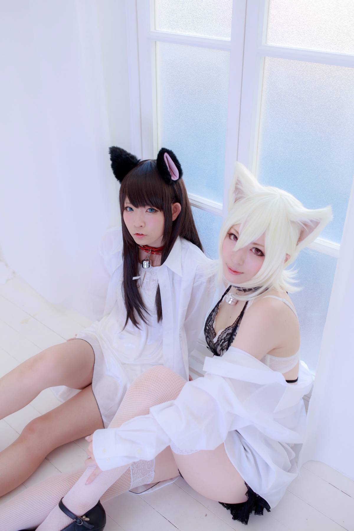 [Paw Pad Ayato, Nagisa MK-2, Usagi, Senji] Klartheit (khác nhau)