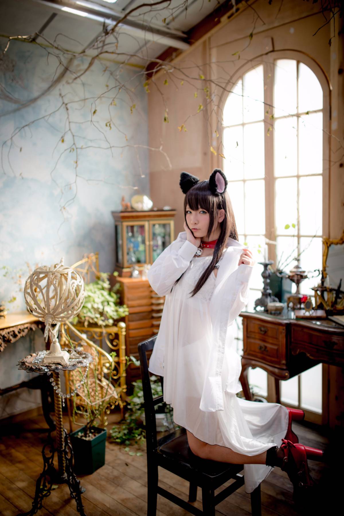 [Paw Pad Ayato, Nagisa MK-2, Usagi, Senji] Klartheit (khác nhau)