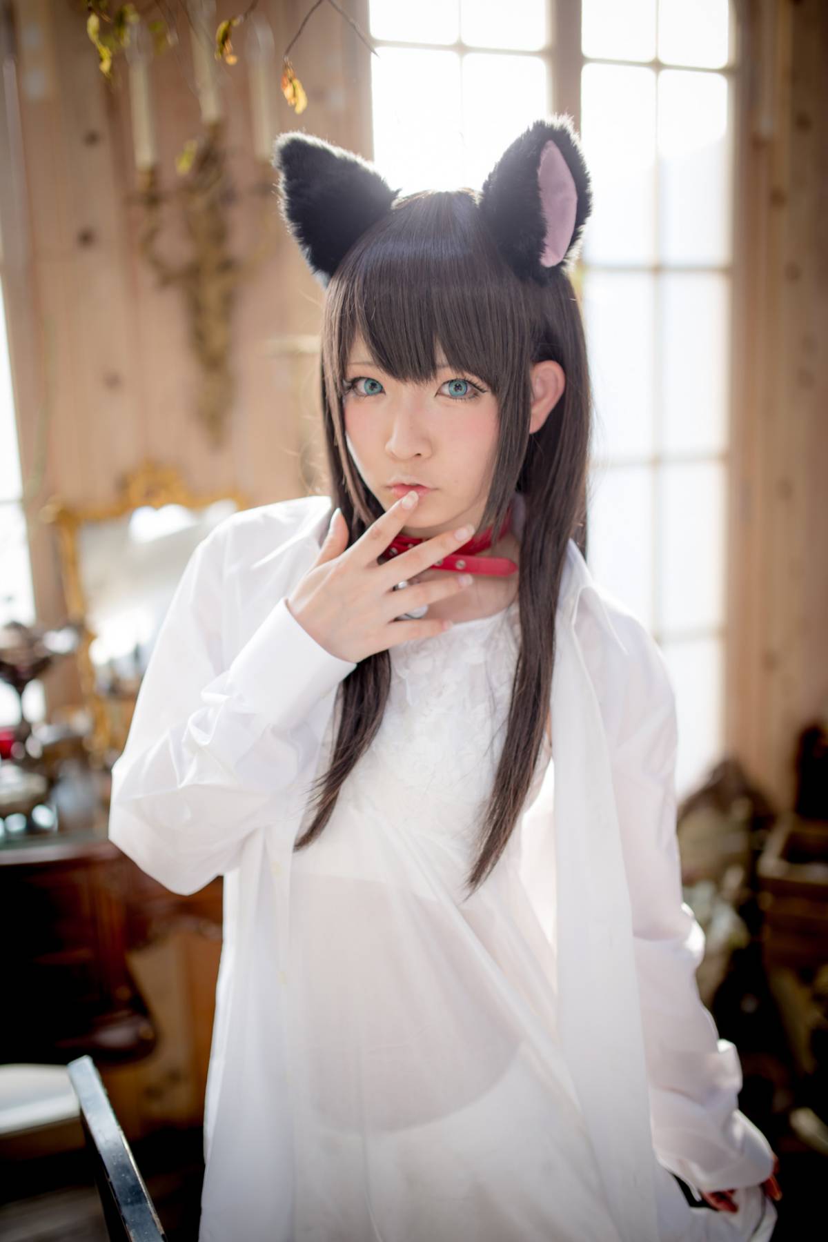 [Paw Pad Ayato, Nagisa MK-2, Usagi, Senji] Klartheit (khác nhau)