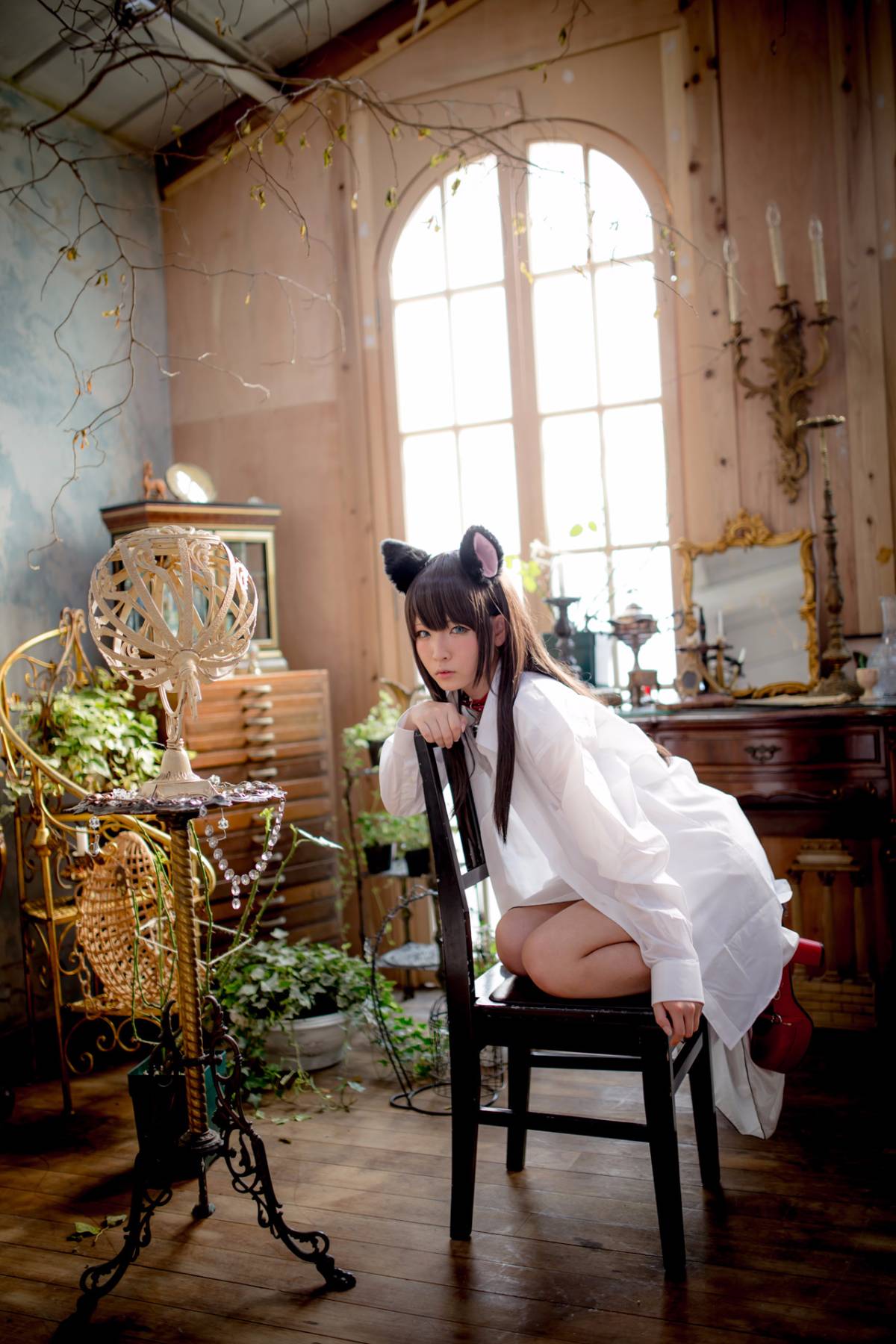 [Paw Pad Ayato, Nagisa MK-2, Usagi, Senji] Klartheit (khác nhau)