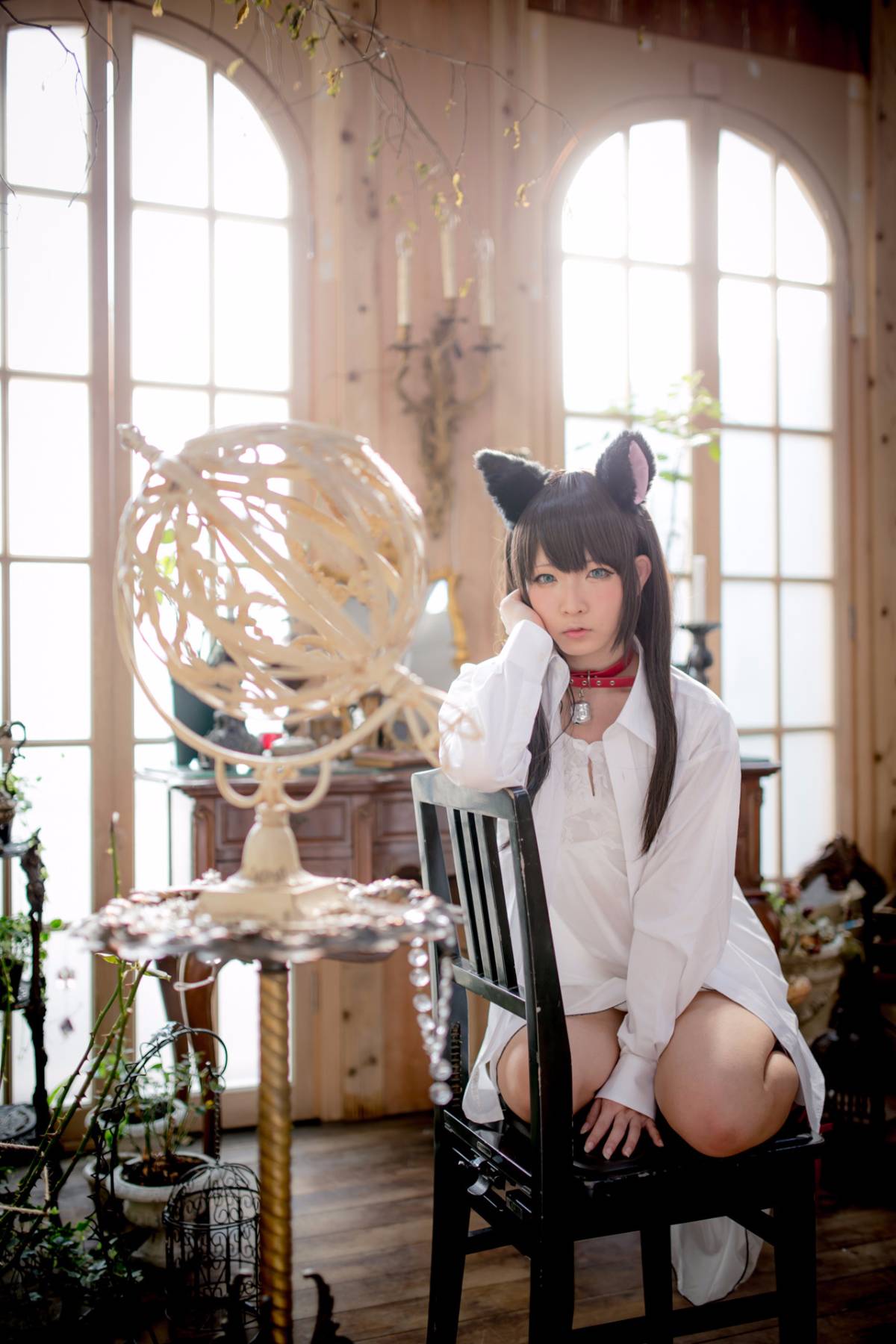 [Paw Pad Ayato, Nagisa MK-2, Usagi, Senji] Klartheit (khác nhau)