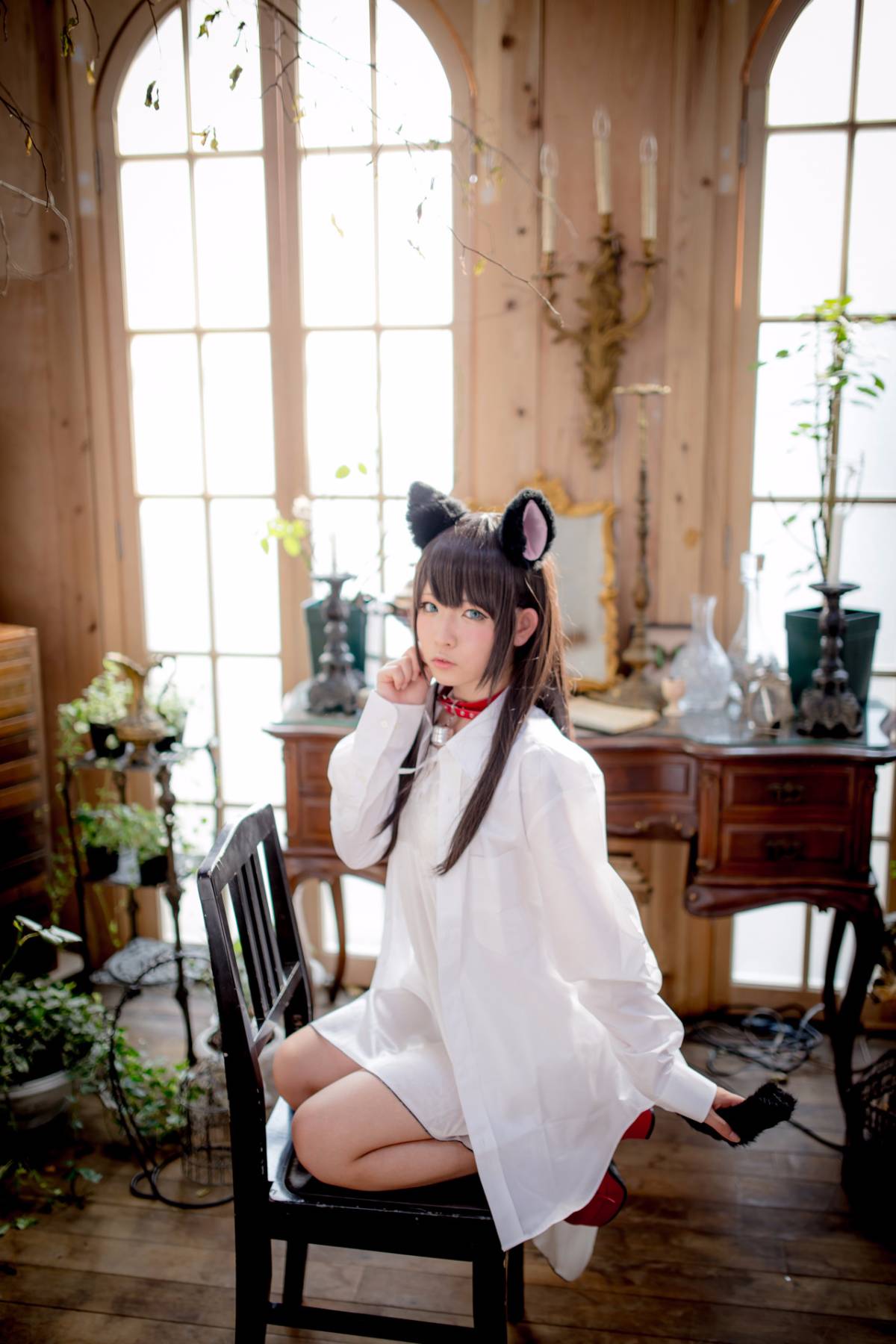 [Paw Pad Ayato, Nagisa MK-2, Usagi, Senji] Klartheit (khác nhau)