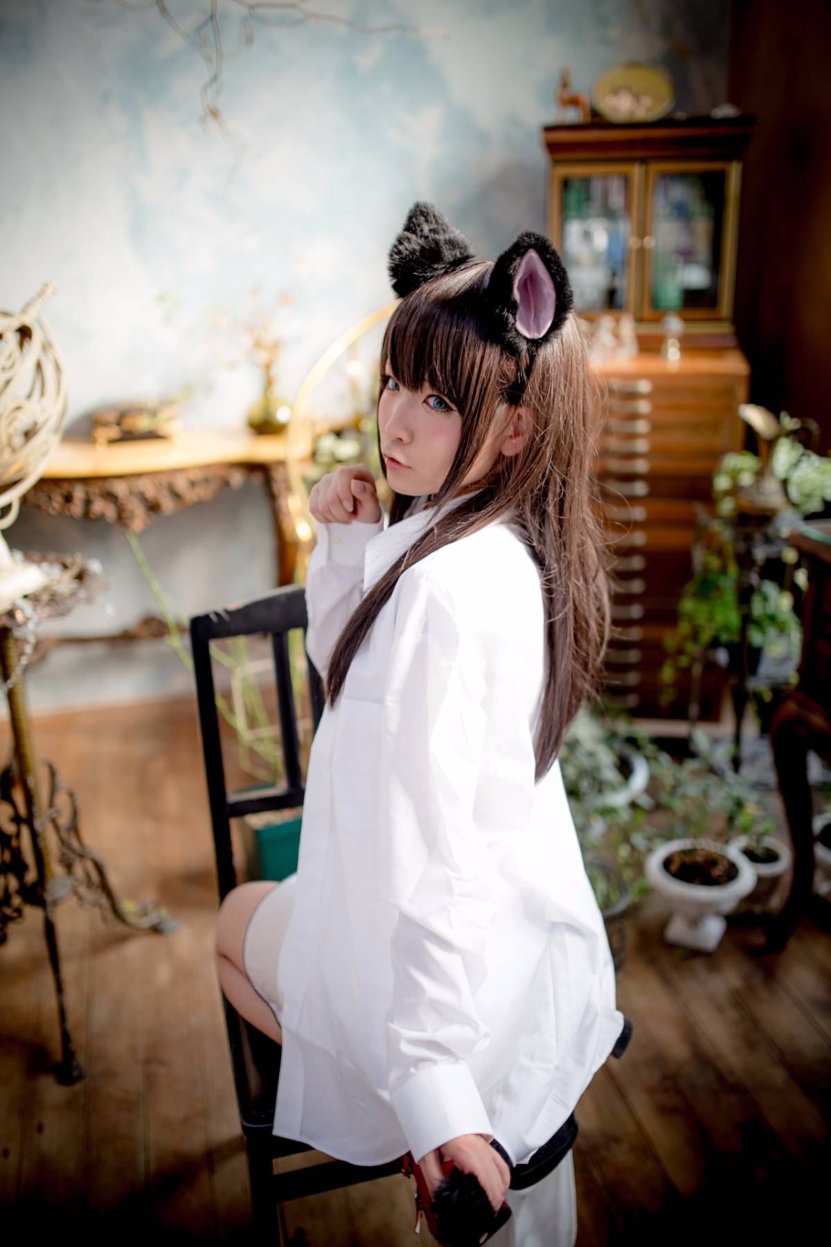 [Paw Pad Ayato, Nagisa MK-2, Usagi, Senji] Klartheit (khác nhau)