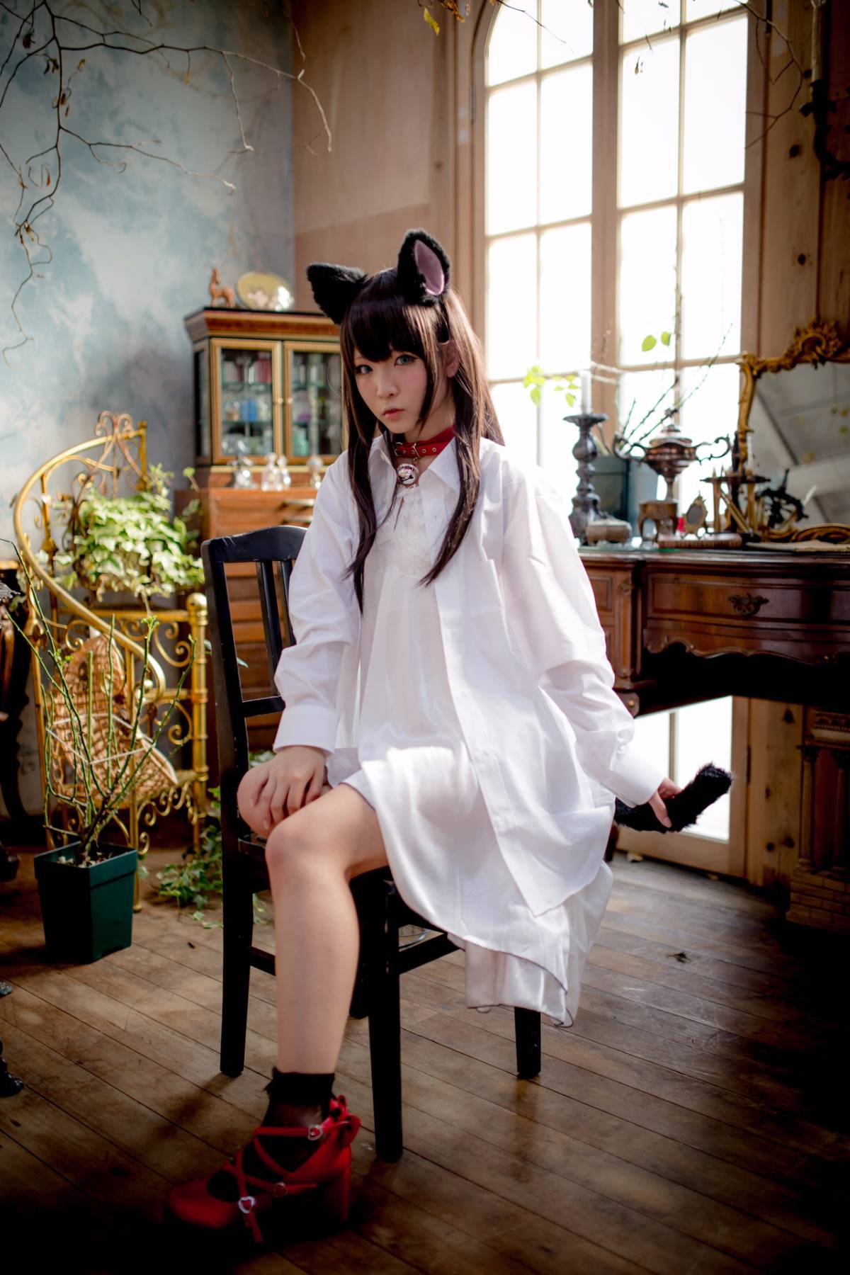 [Paw Pad Ayato, Nagisa MK-2, Usagi, Senji] Klartheit (khác nhau)