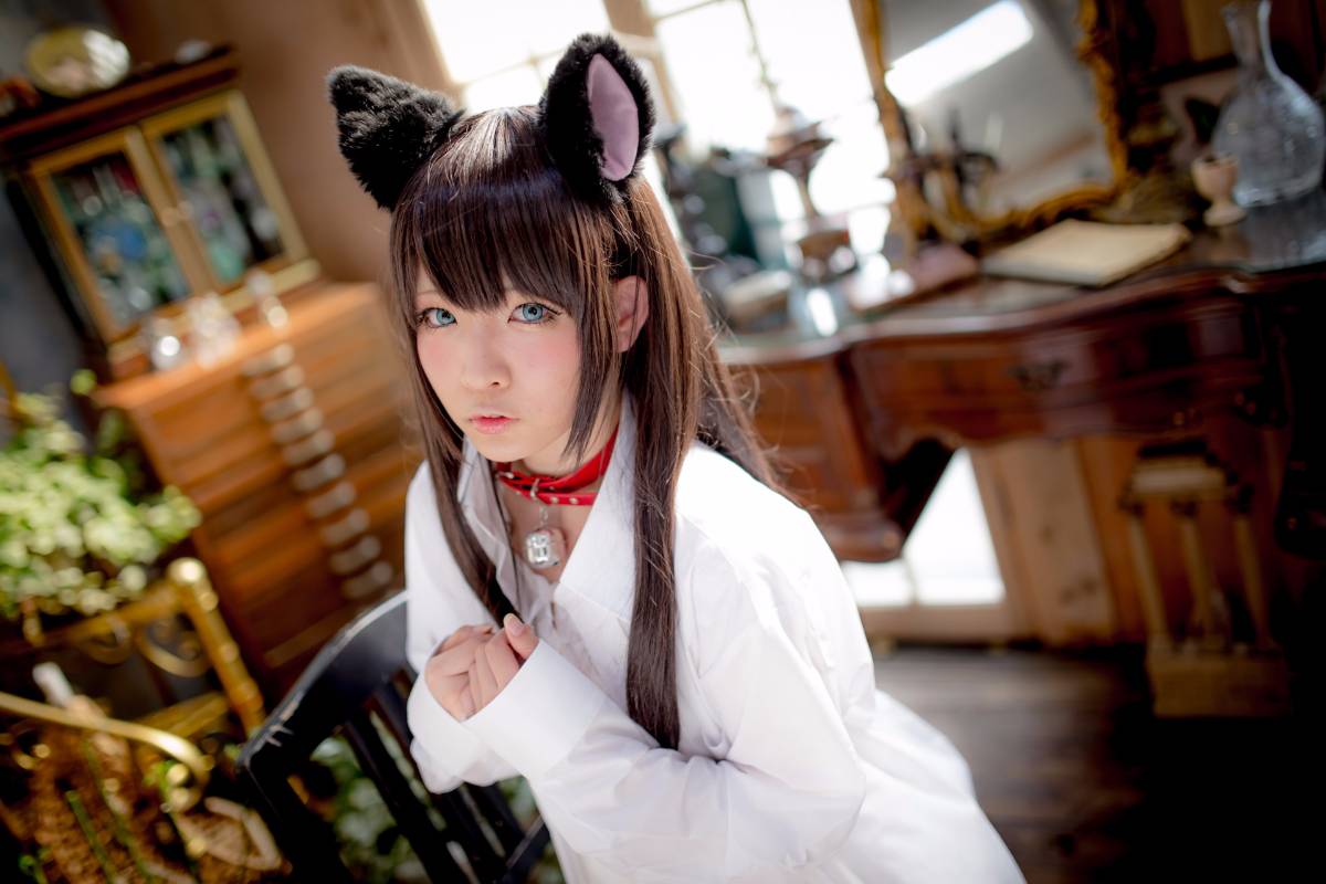 [Paw Pad Ayato, Nagisa MK-2, Usagi, Senji] Klartheit (khác nhau)