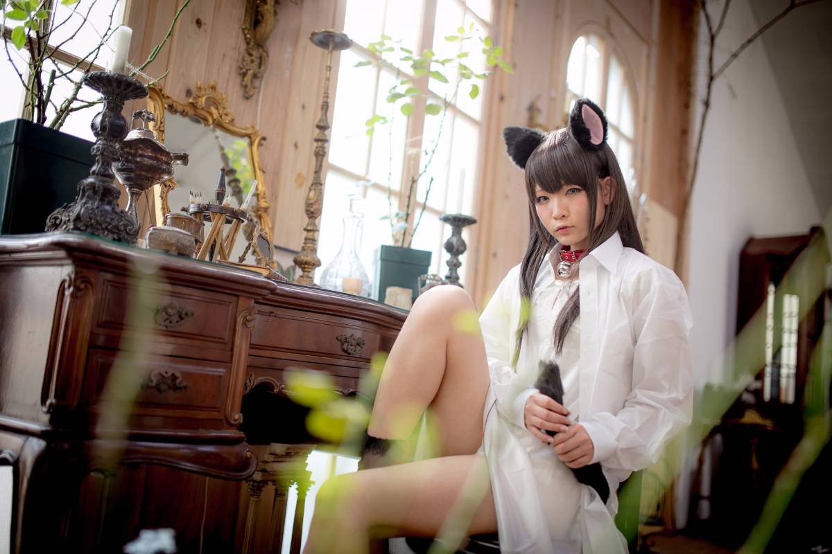 [Paw Pad Ayato, Nagisa MK-2, Usagi, Senji] Klartheit (khác nhau)