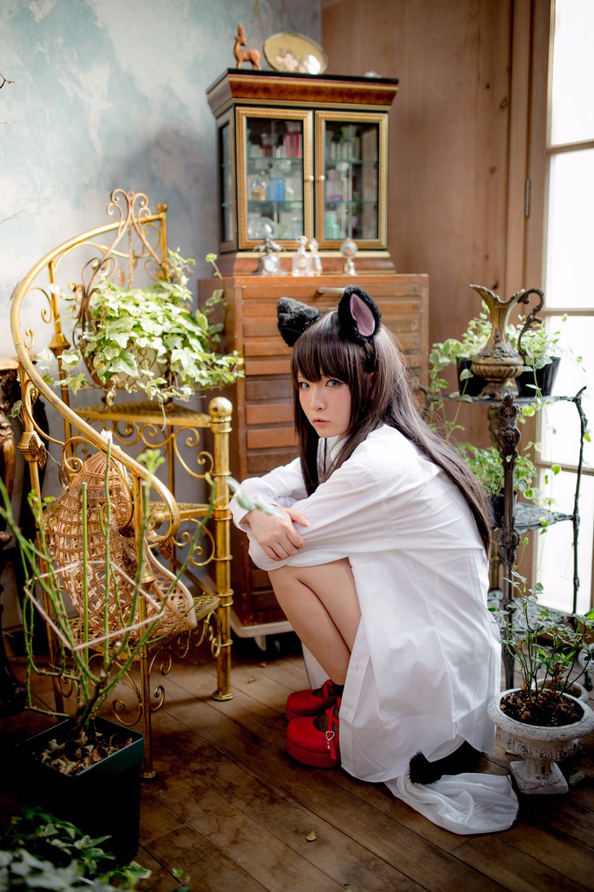 [Paw Pad Ayato, Nagisa MK-2, Usagi, Senji] Klartheit (khác nhau)