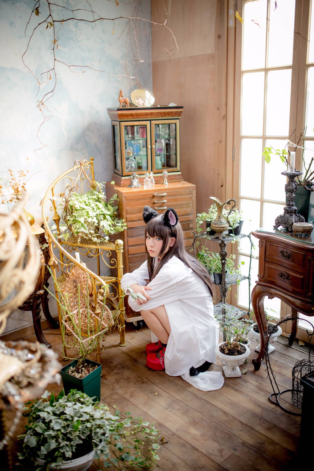 [Paw Pad Ayato, Nagisa MK-2, Usagi, Senji] Klartheit (khác nhau)