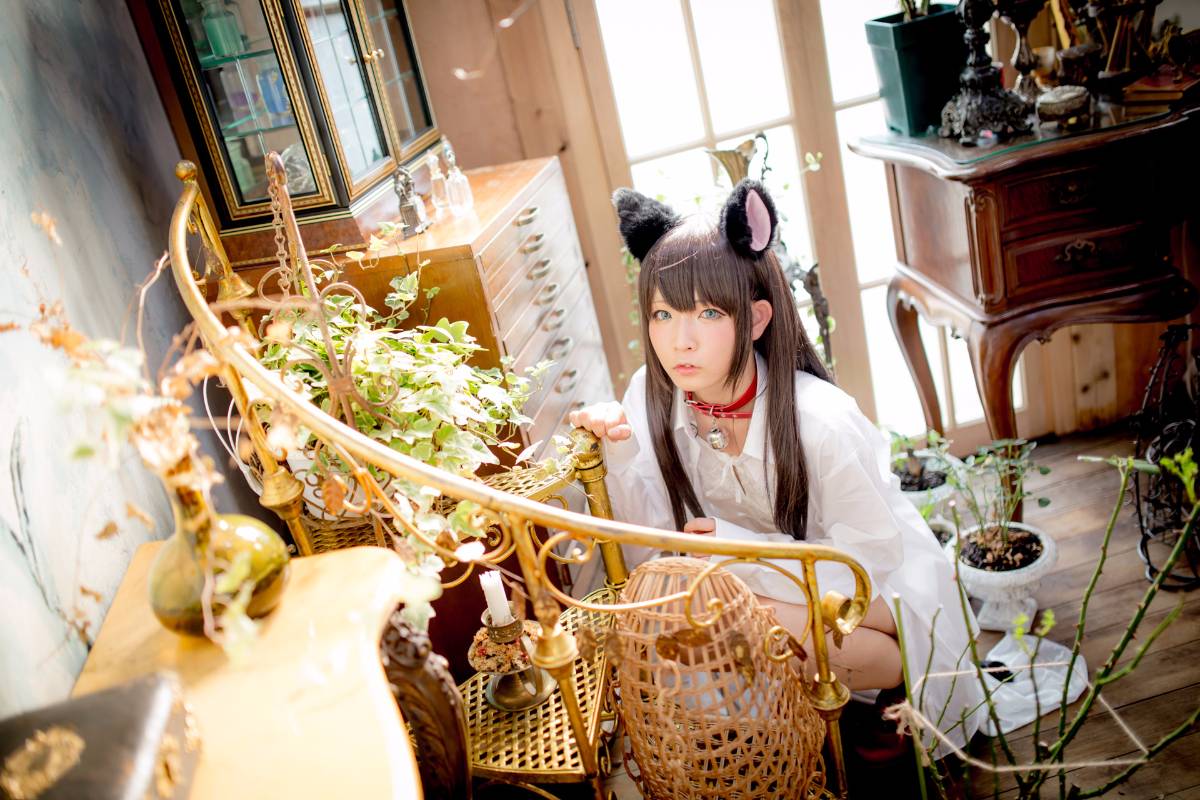 [Paw Pad Ayato, Nagisa MK-2, Usagi, Senji] Klartheit (khác nhau)