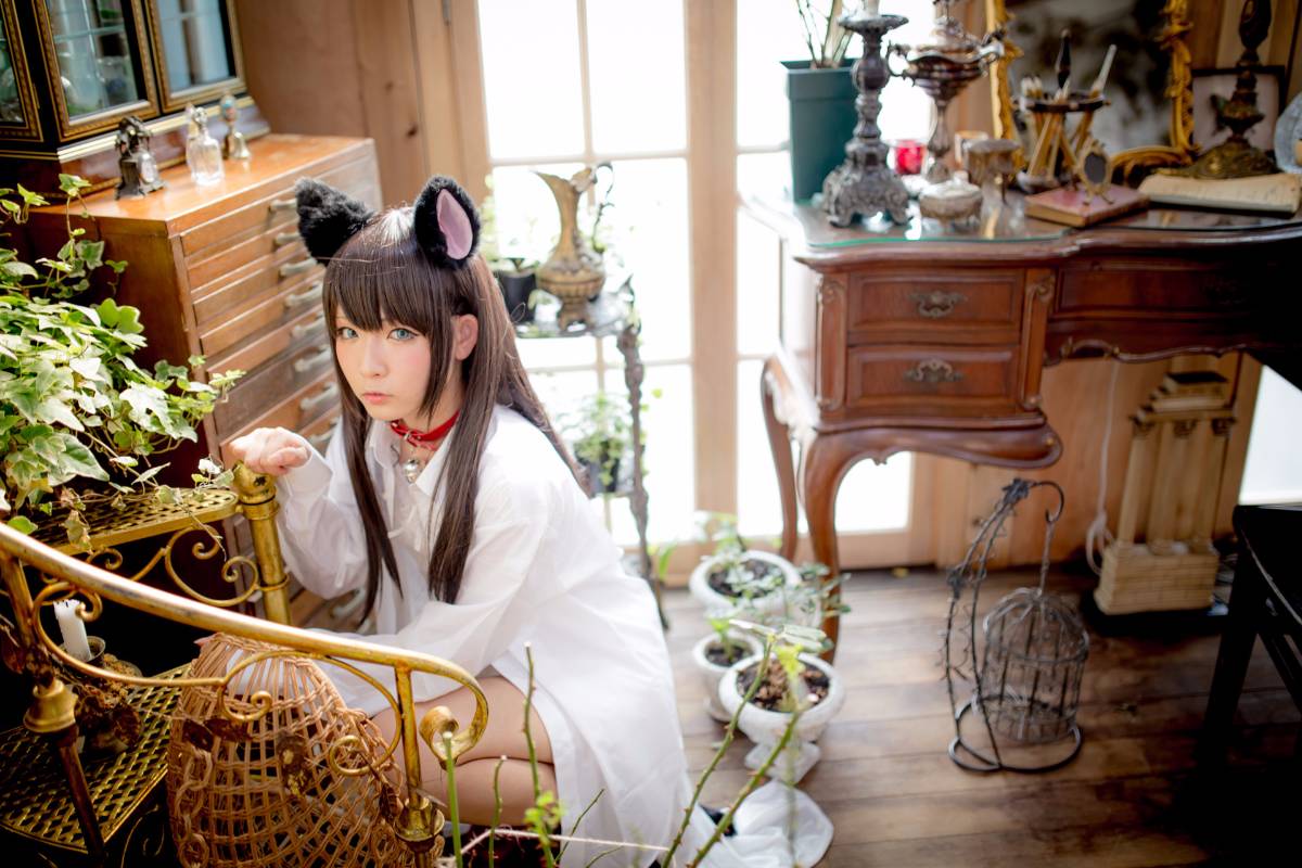 [Paw Pad Ayato, Nagisa MK-2, Usagi, Senji] Klartheit (khác nhau)