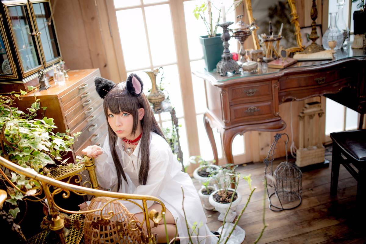 [Paw Pad Ayato, Nagisa MK-2, Usagi, Senji] Klartheit (khác nhau)