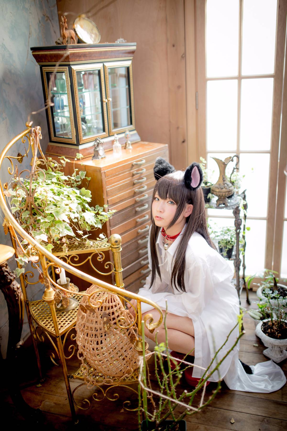 [Paw Pad Ayato, Nagisa MK-2, Usagi, Senji] Klartheit (khác nhau)