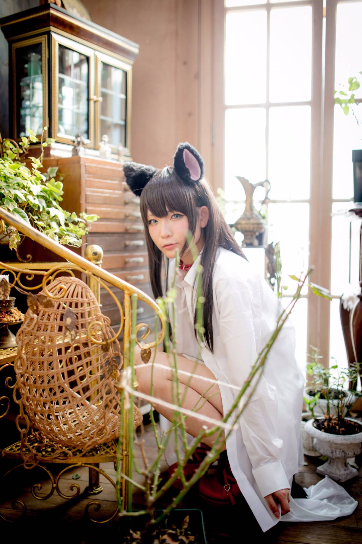 [Paw Pad Ayato, Nagisa MK-2, Usagi, Senji] Klartheit (khác nhau)