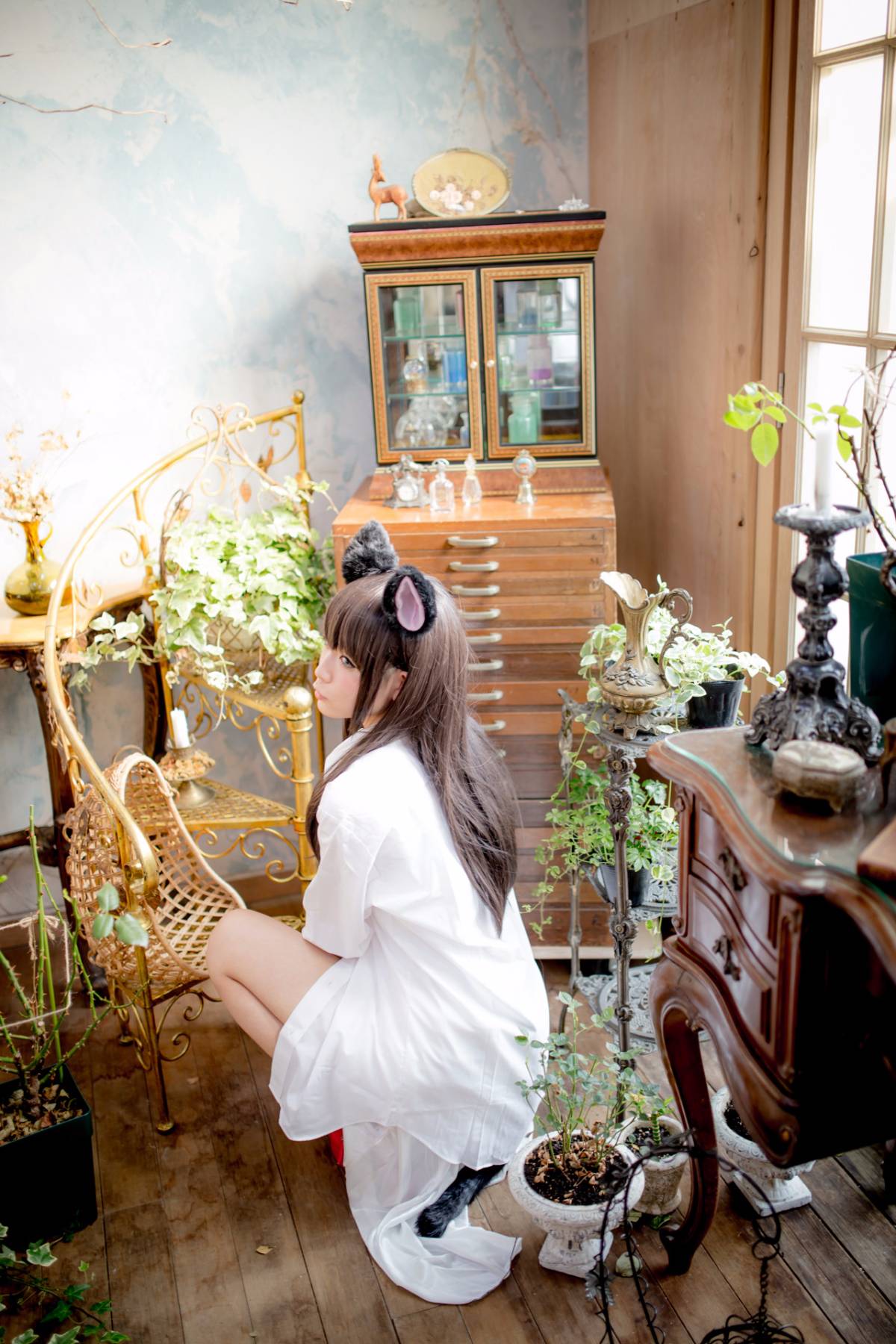 [Paw Pad Ayato, Nagisa MK-2, Usagi, Senji] Klartheit (khác nhau)